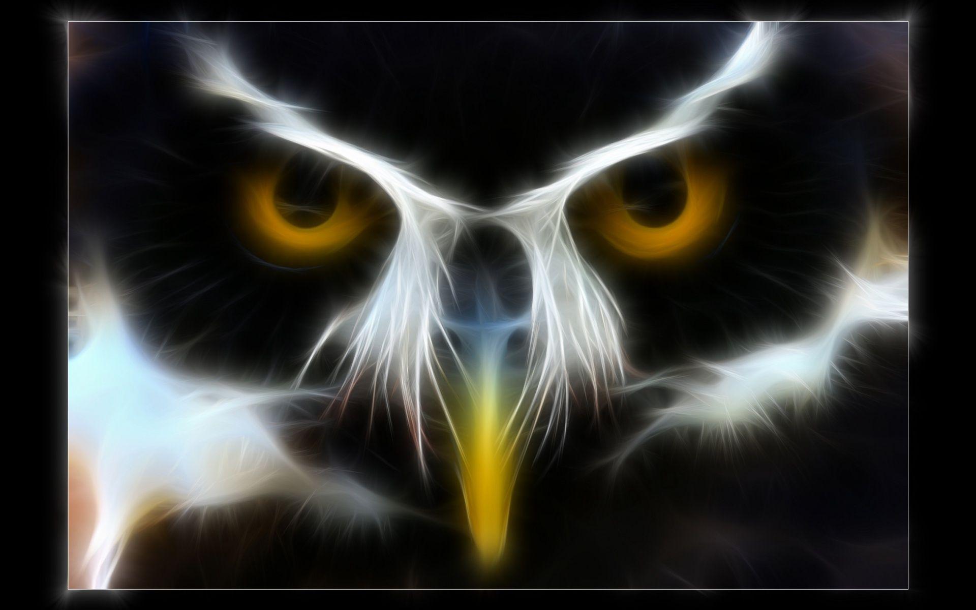 owl Full HD Wallpaper and Background Imagex1200