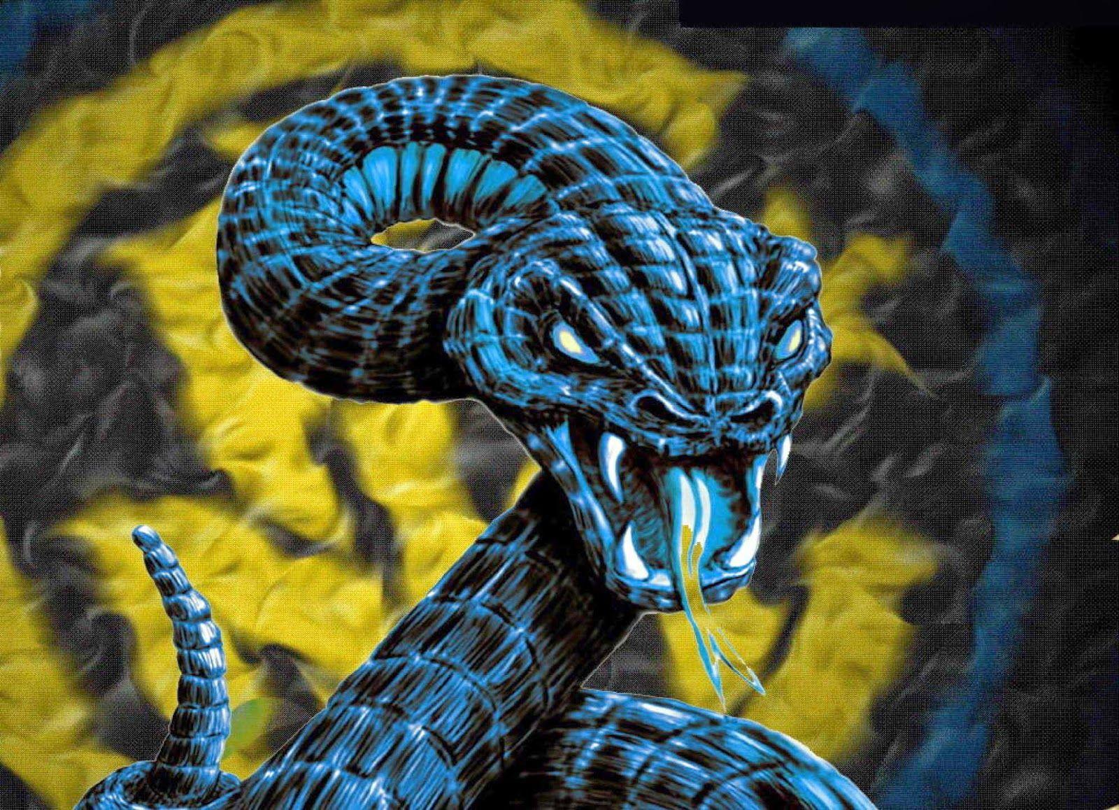 HD Wallpaper: King Cobra Snake HD Wallpaper