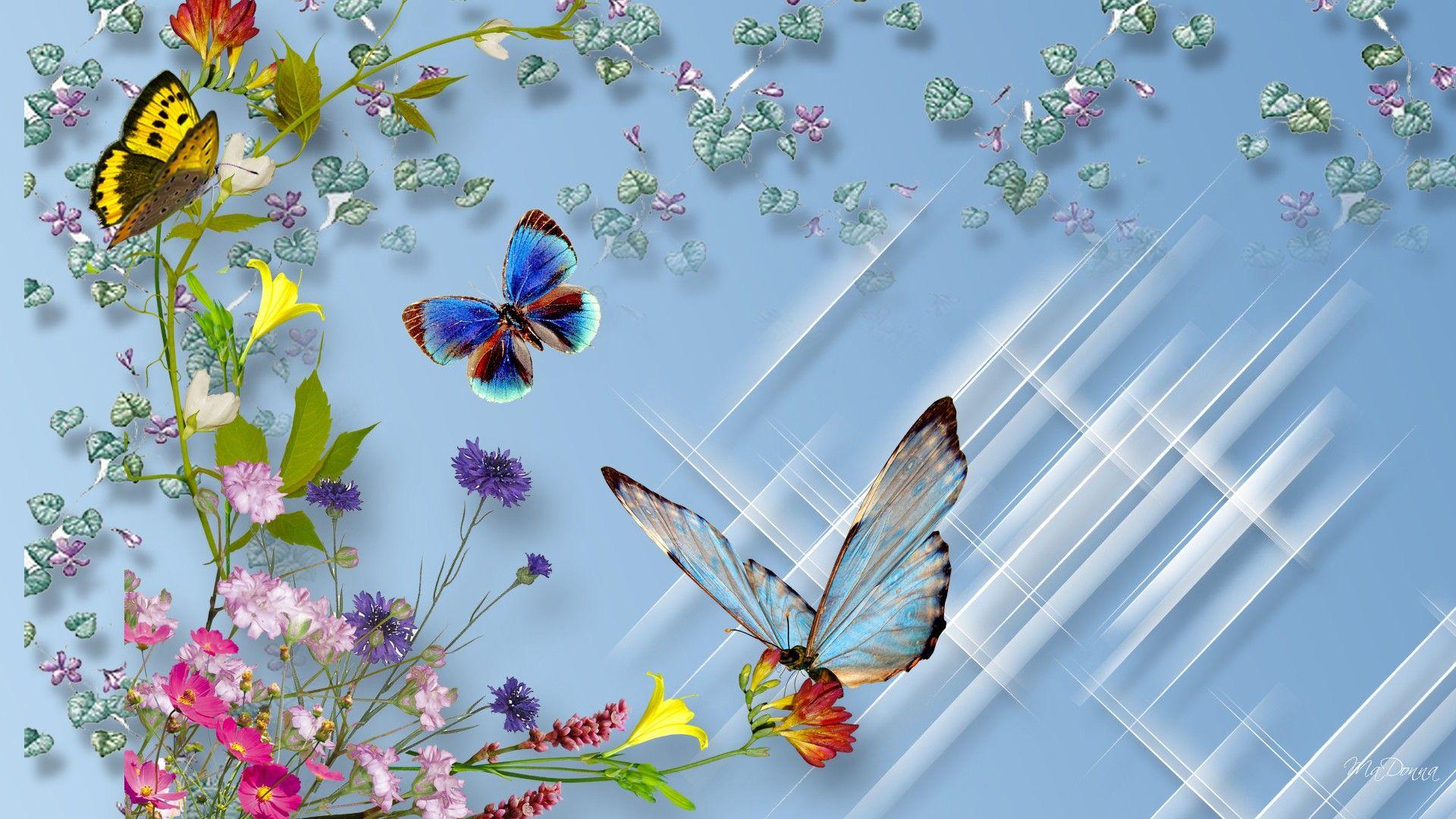 Butterflies and Flowers Full HD Wallpaper