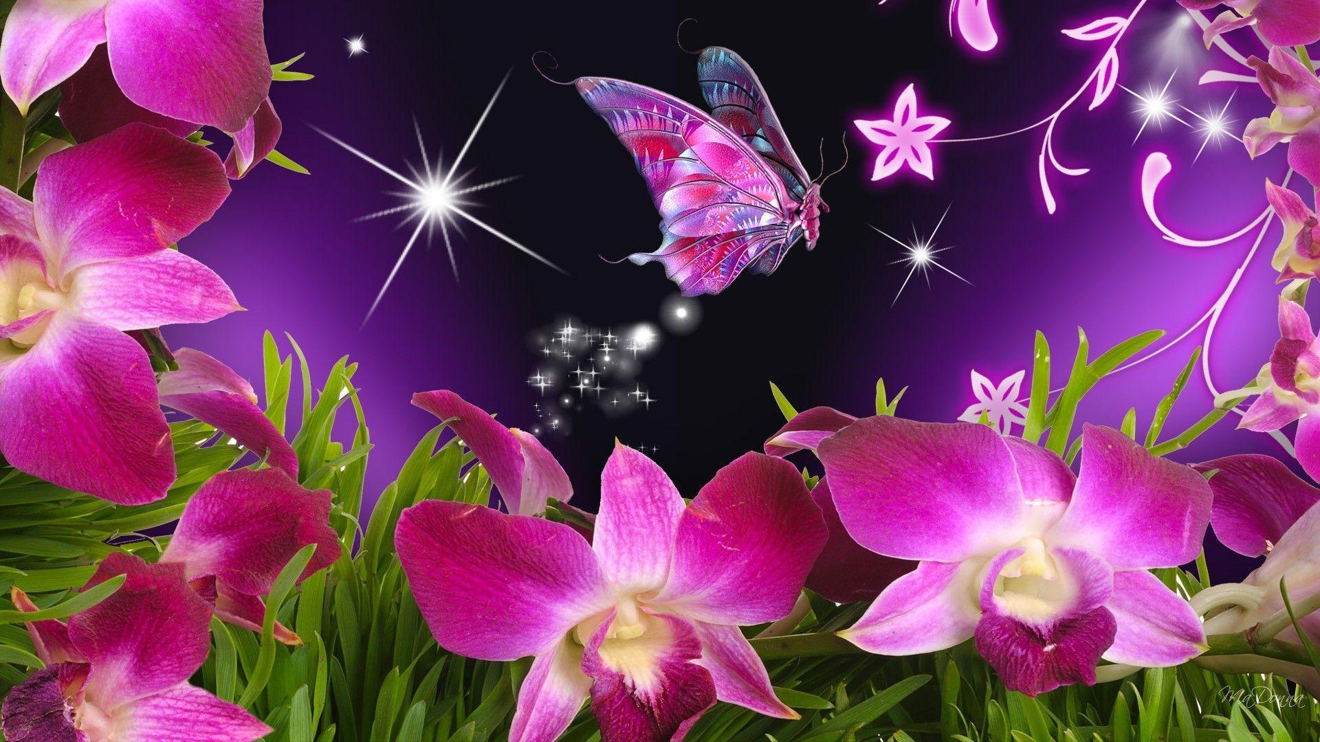 butterflies and flowers. Butterfly Flowers Orchid Purple Stars