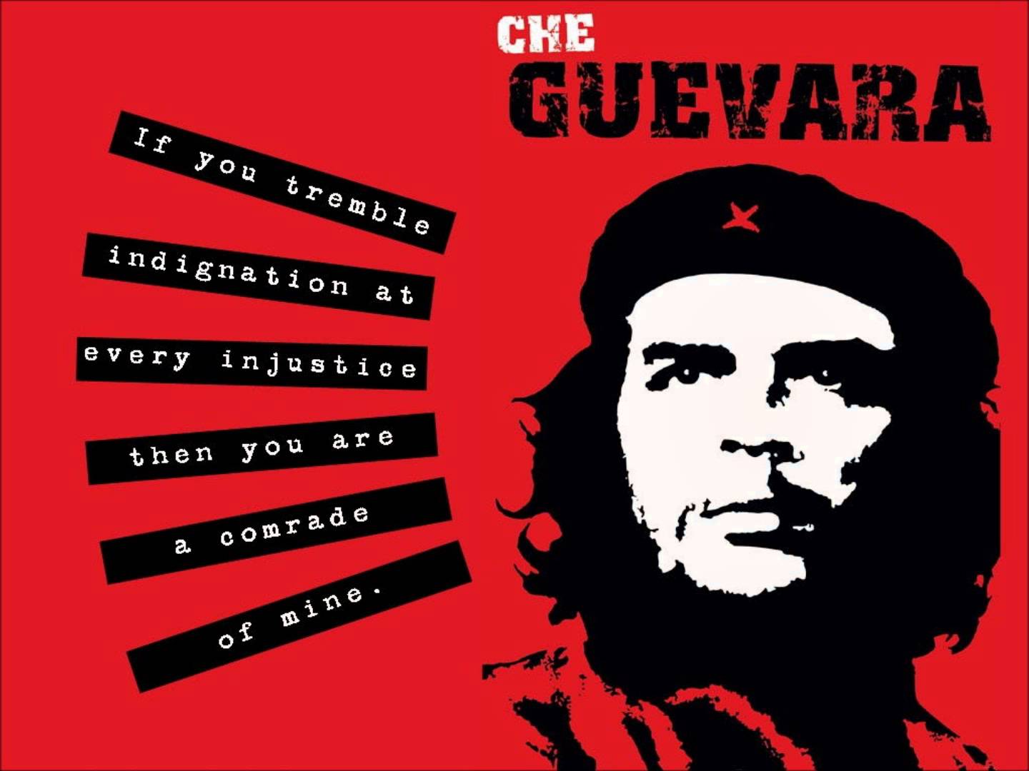 Che Guevara quotes