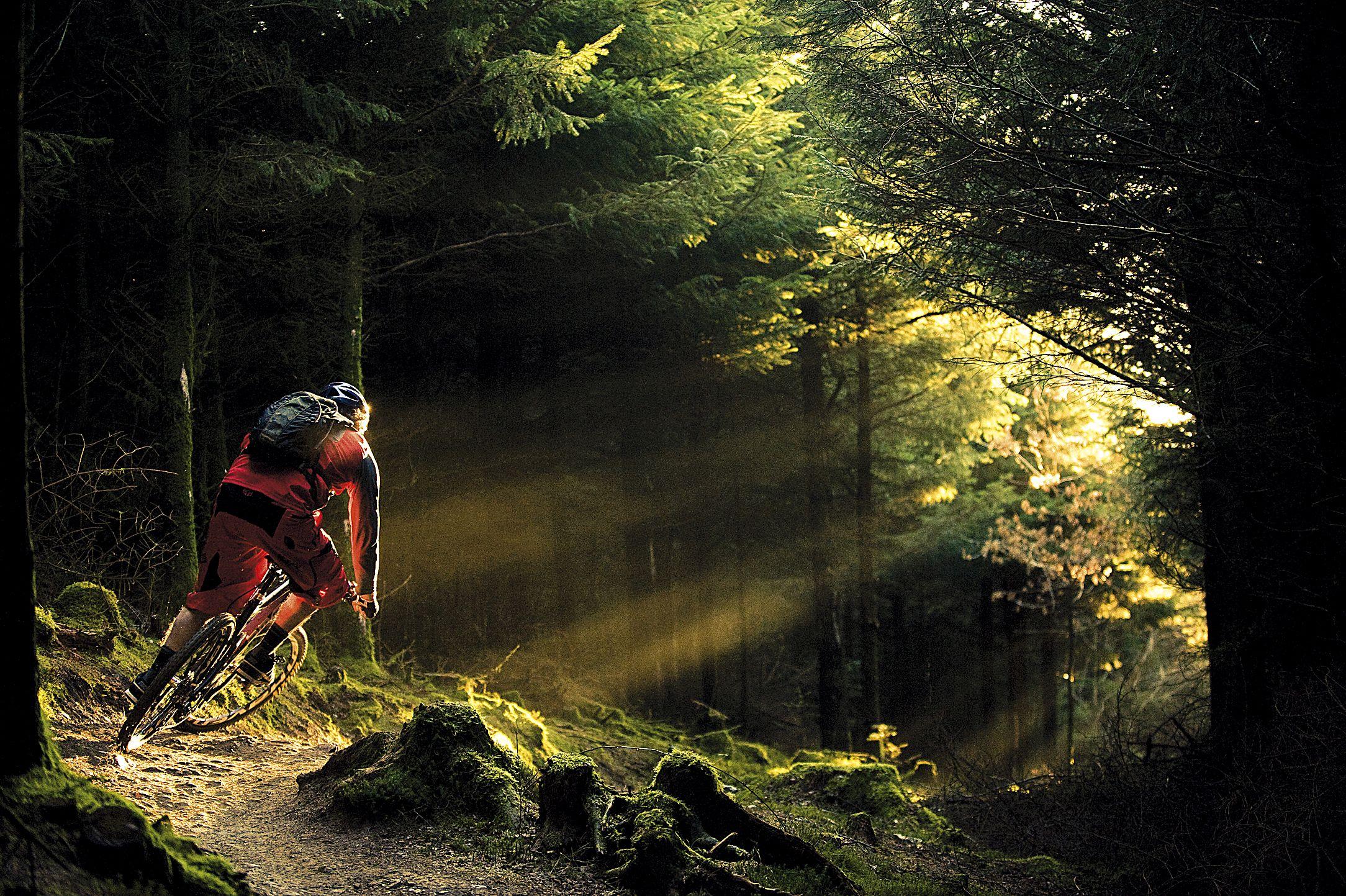 Pics For > Specialized Mountain Biking Wallpaper. Mountain biking