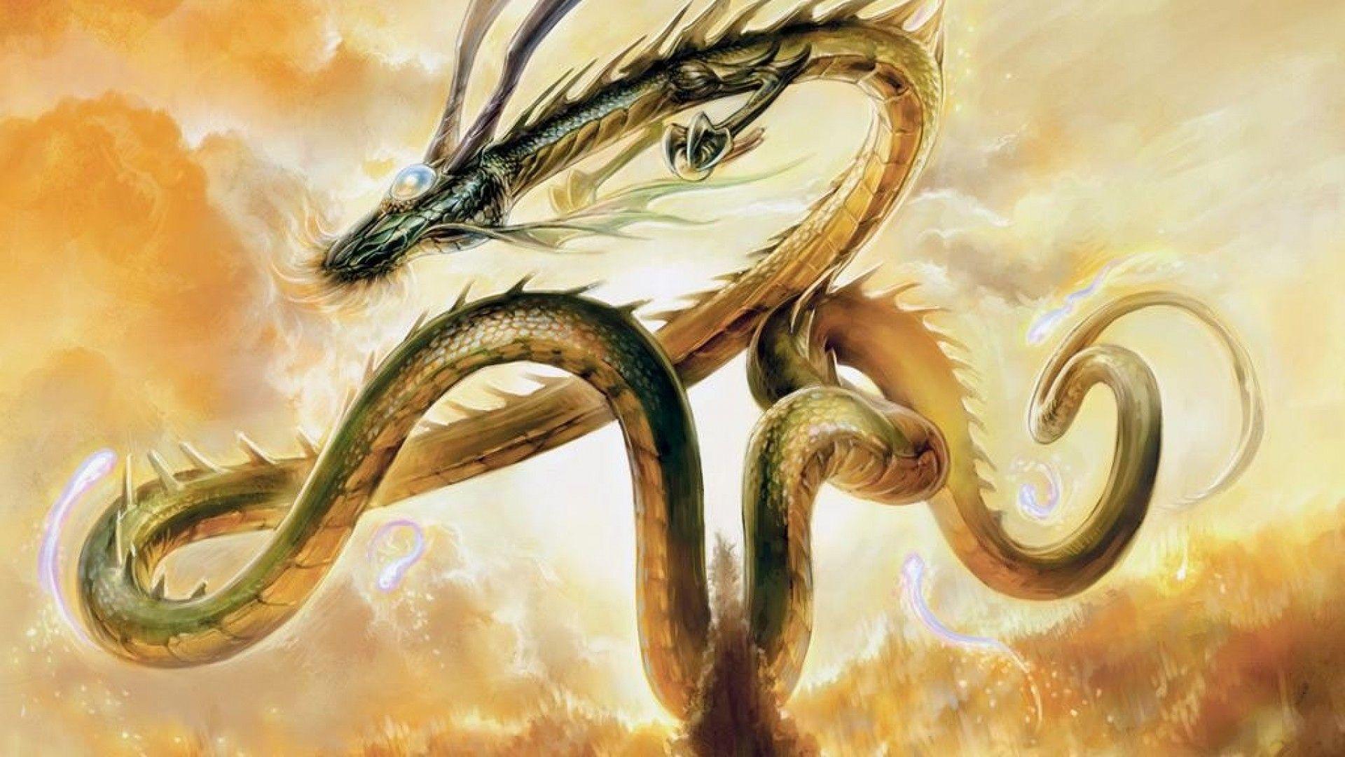 ScreenHeaven: Magic: The Gathering dragons shenron desktop