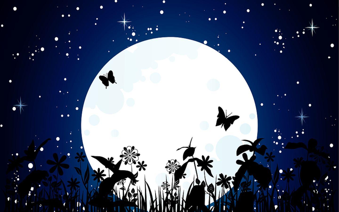 Beauty Moon And Butterfly HD Wallpaper