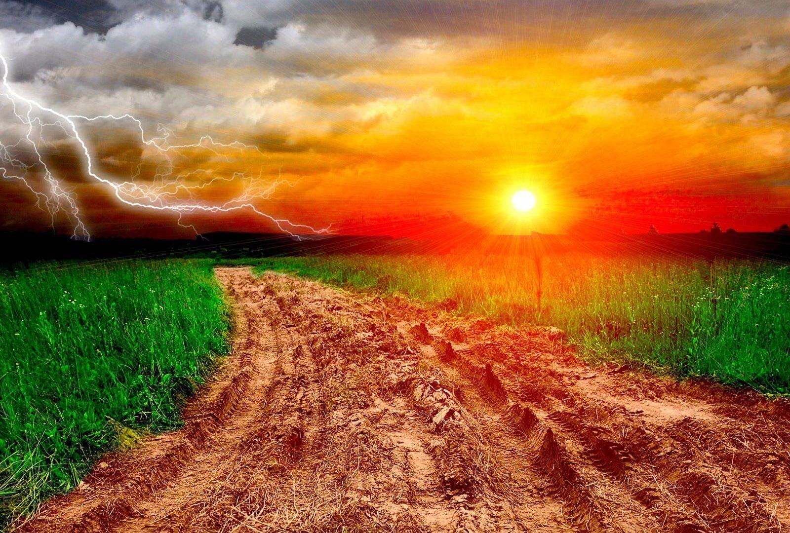 Sunset: Sun Lightning Path Grass Fields Sunset HD Mobile Wallpaper