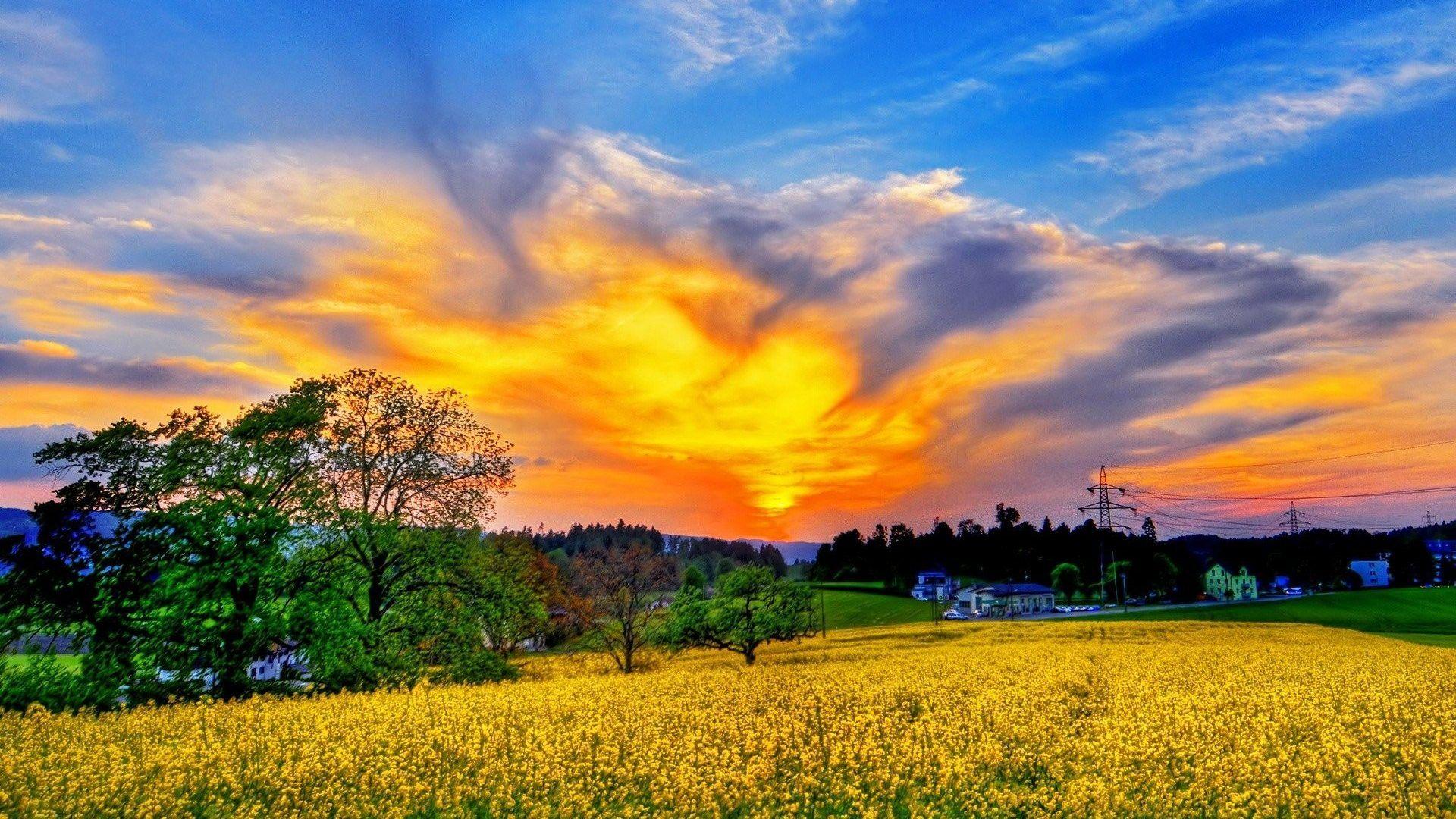 Sky: Fields Nature Wallpaper HD Large Size for HD 16:9 High