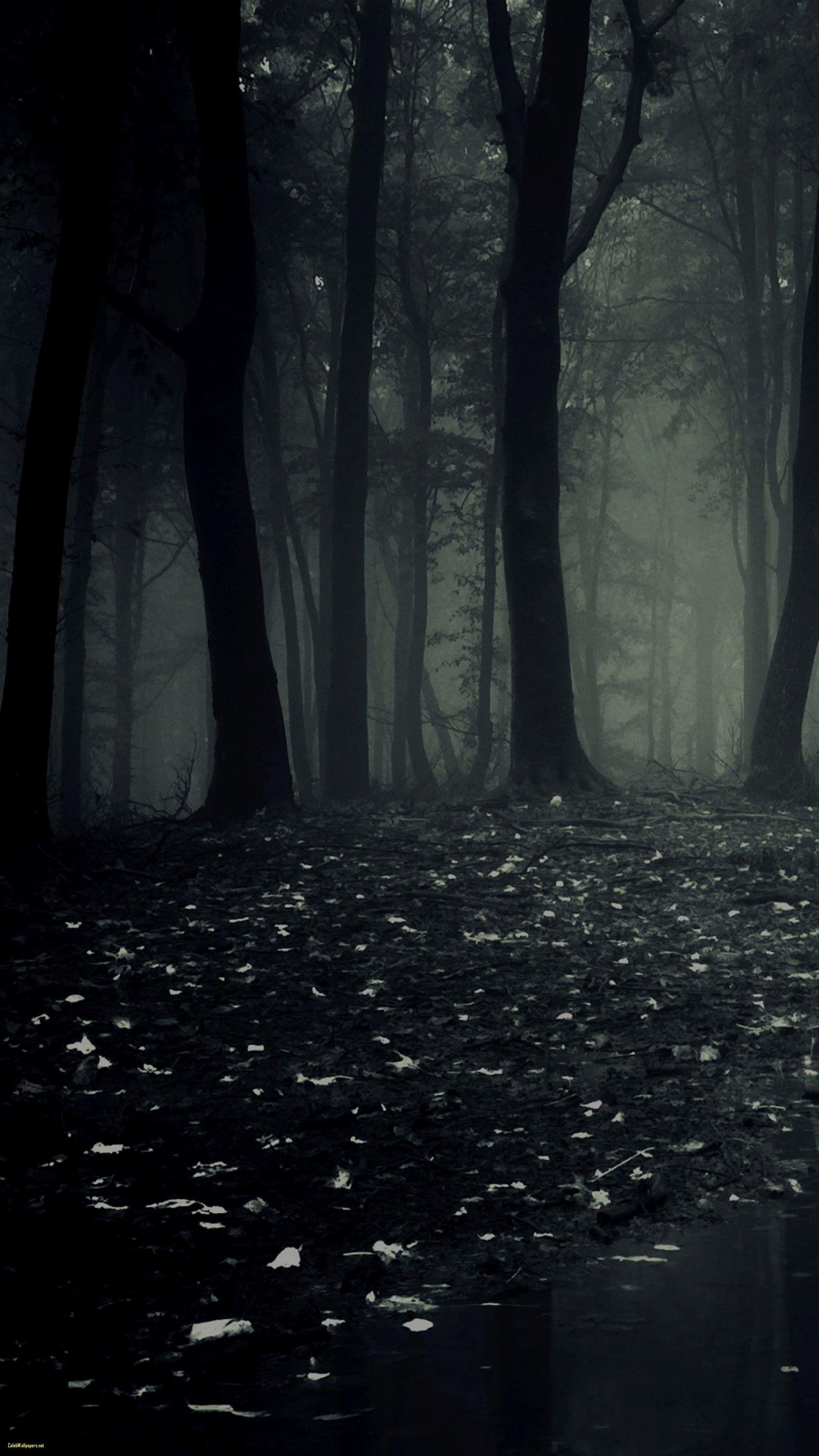 Dark forest Wallpaper Dark forest HD android Wallpaper