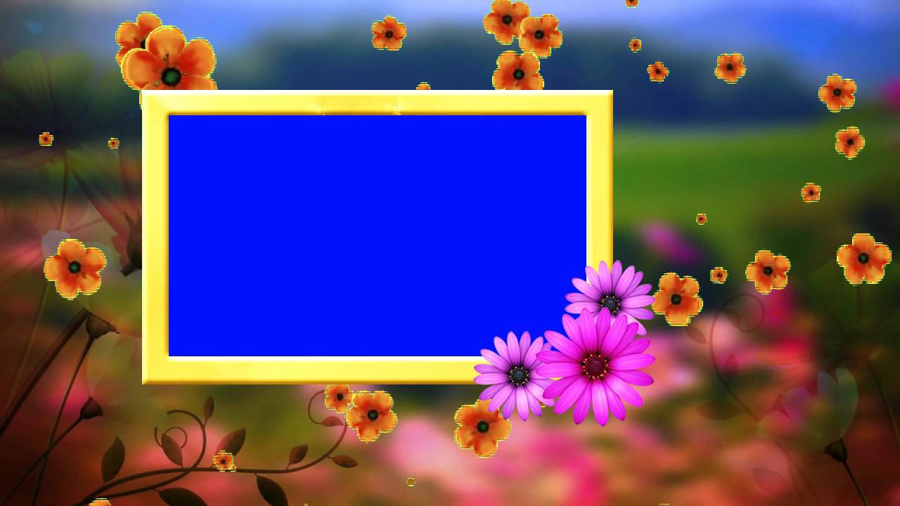 HD Wedding Frame Blue Background & Fallen Flowers Animated Video