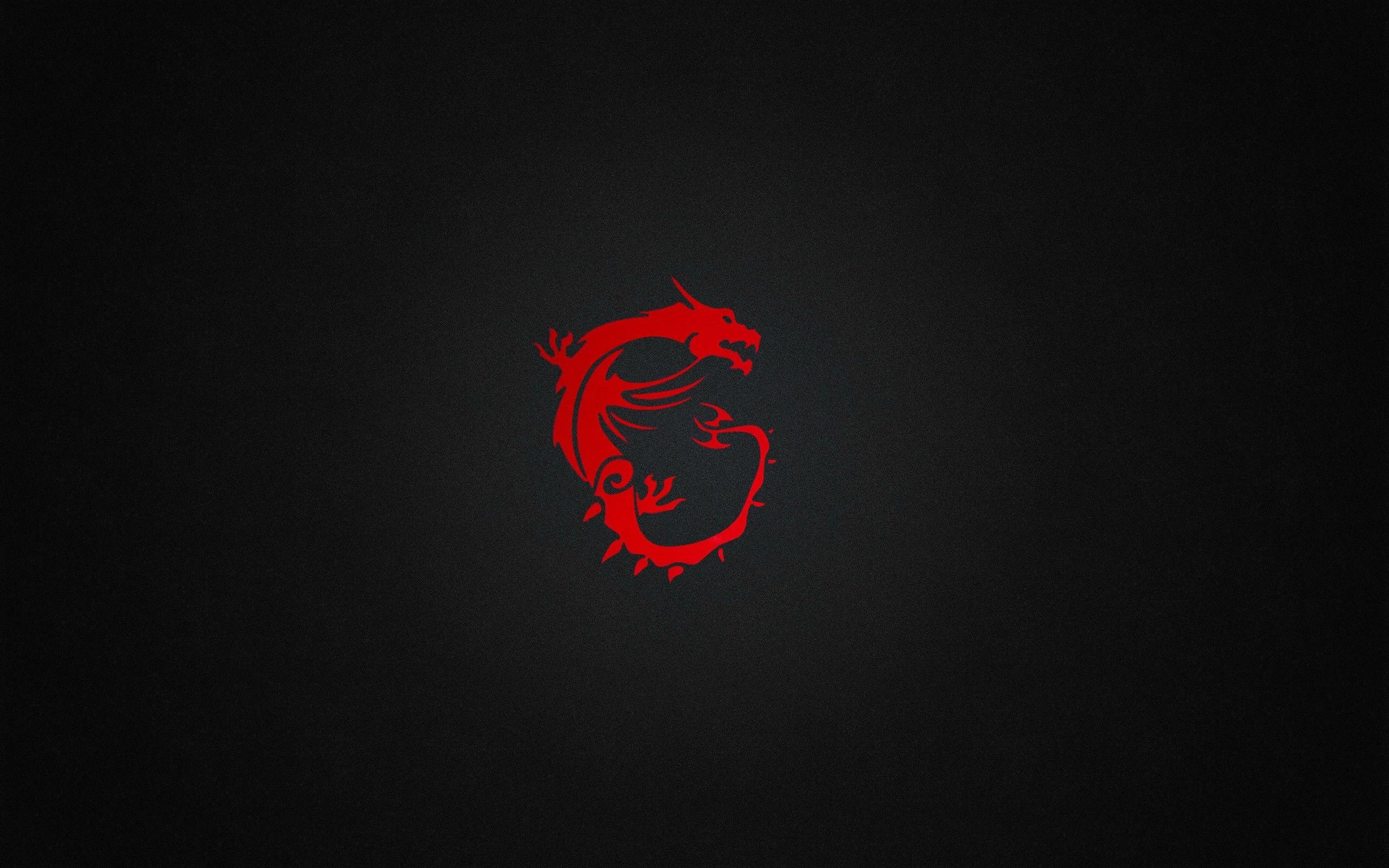MSI Wallpaper 17 - [2560x1600]
