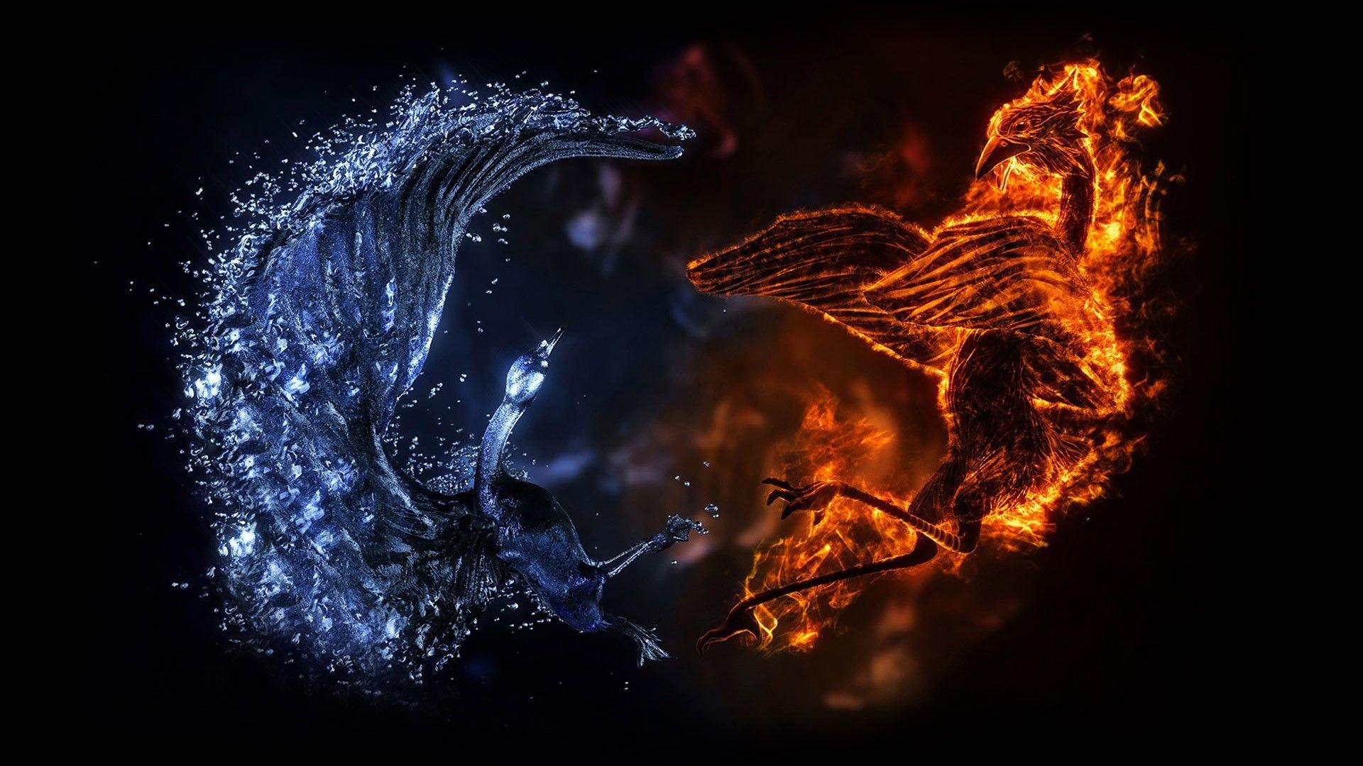 Battle of fire and water dragons wallpaper and image