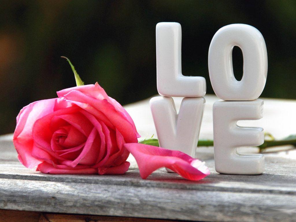 Beautiful Love HD Wallpaper Free Download, Love Wallpaper