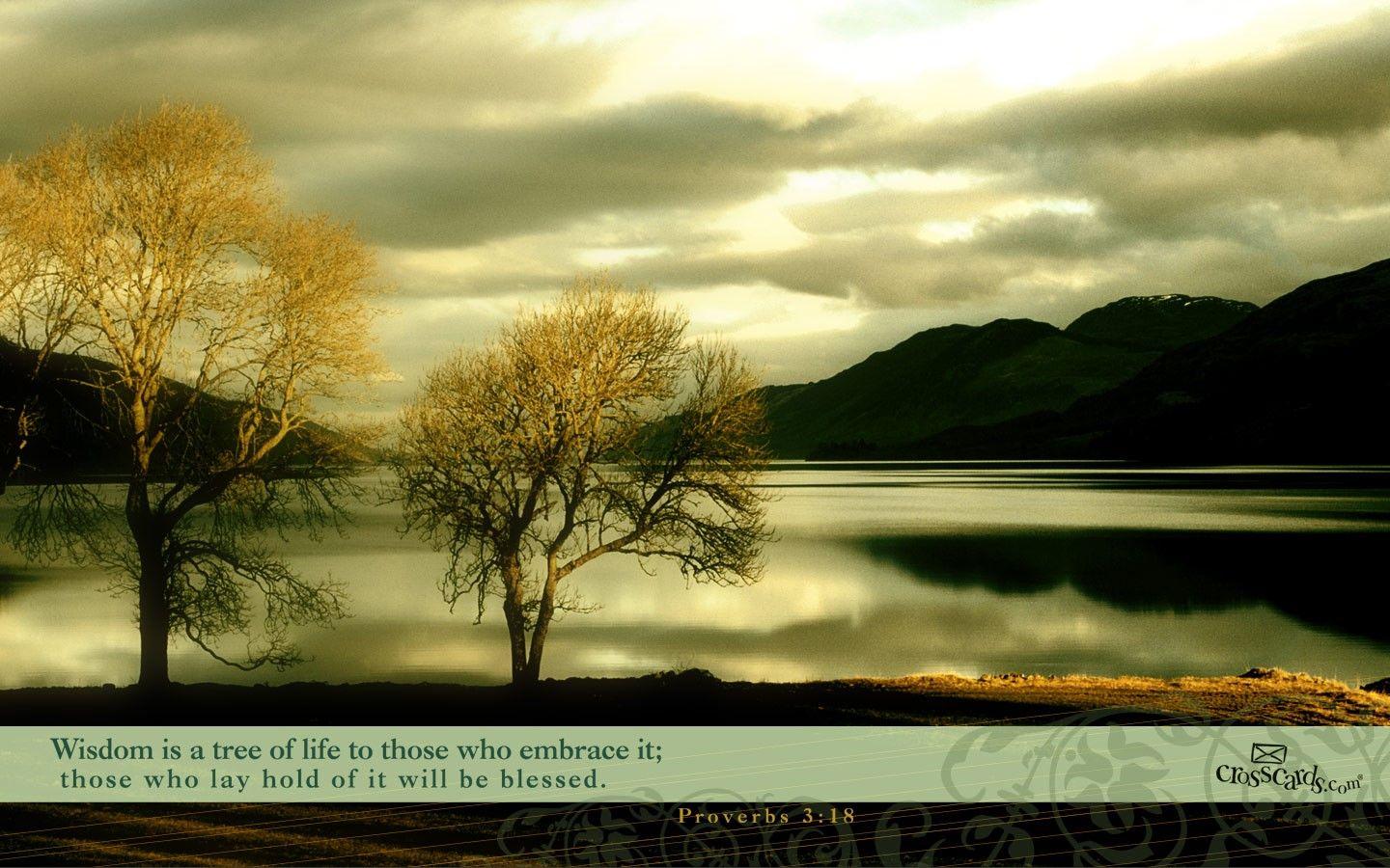 Proverbs 3:18 Wallpaper Nature Desktop Background