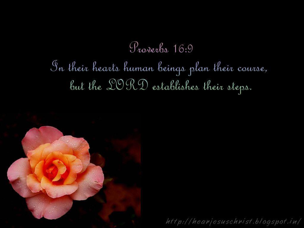 Christian Wallpaper: Bible Verse Wallpaper 16:9