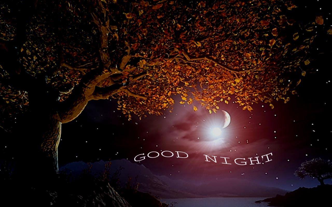 Good Night Wallpapers HD - Wallpaper Cave