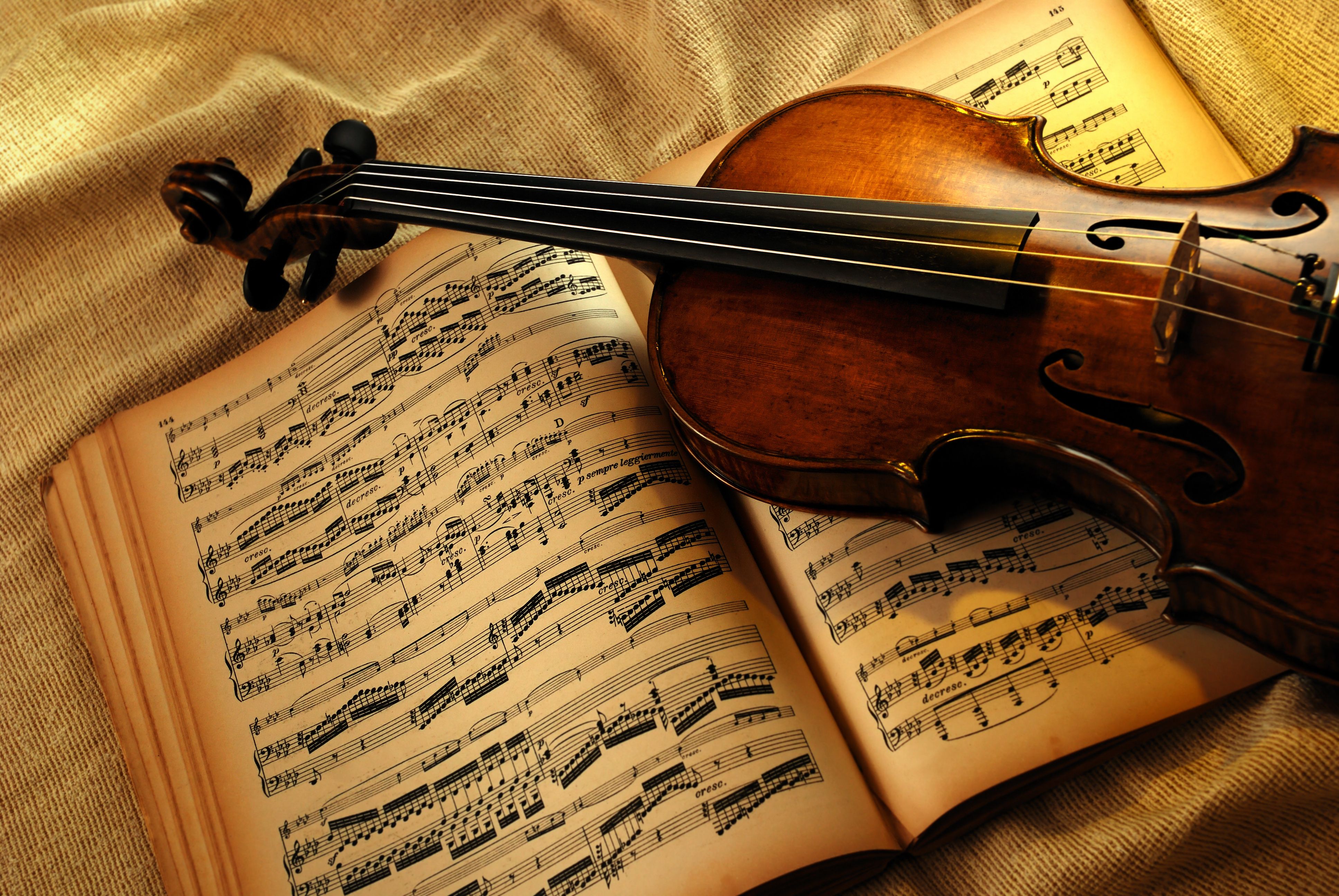Violin HD Wallpaper and Background Image