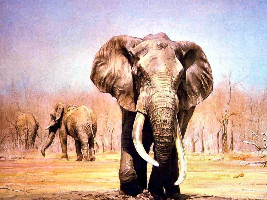 Elephant Art Wallpaper Image. knowledge (ninja)