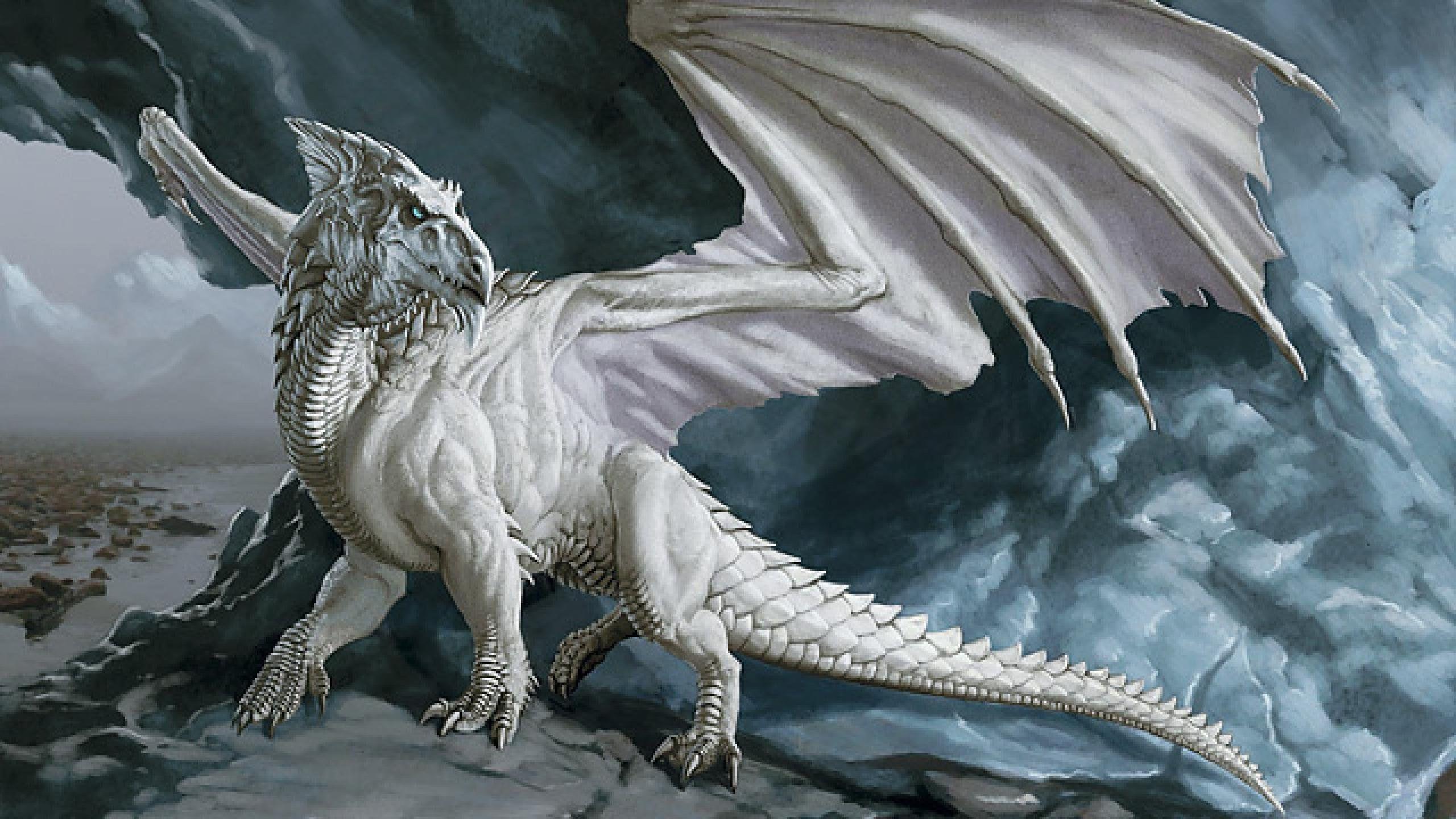 Dragon blanco arte fantasia wallpaperx1440