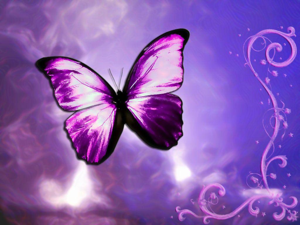 purple butterfly background image 5. Background Check All