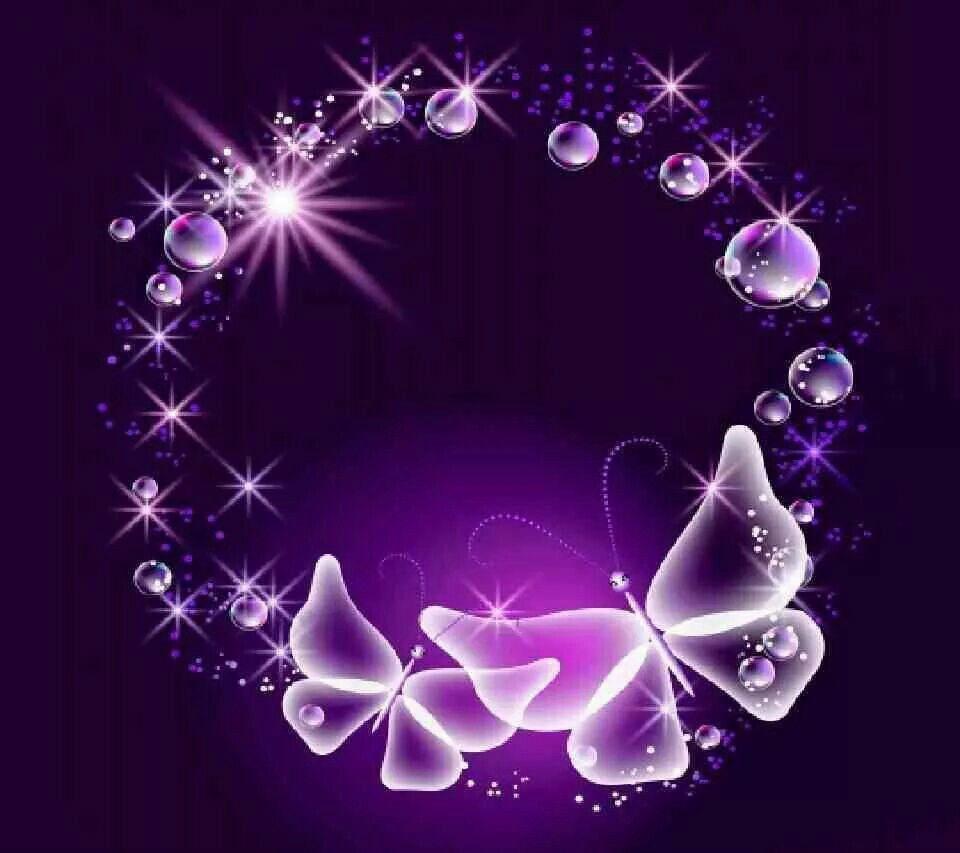 white butterfly on purple background. Purple favorite color