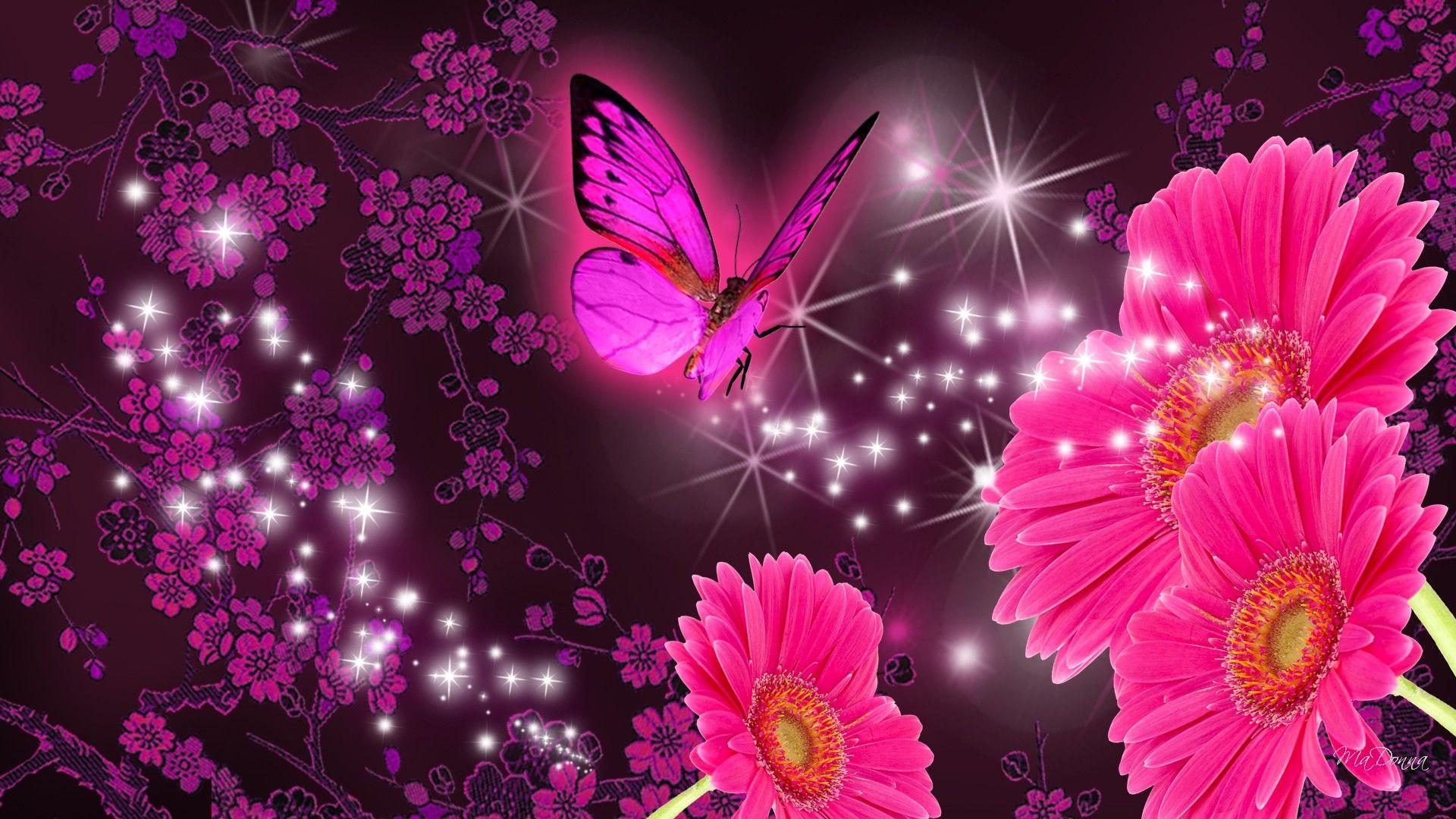 Pink Gerberas and Purple Butterfly Full HD Wallpaper and Background
