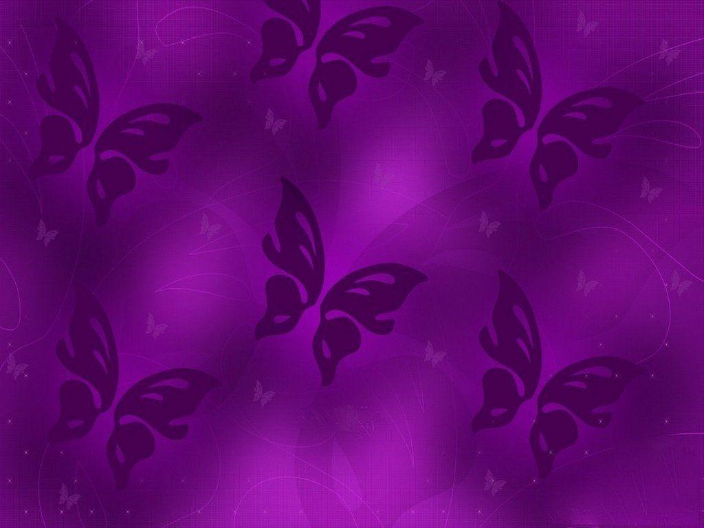 1265) Purple Butterfly Best Wallpaper
