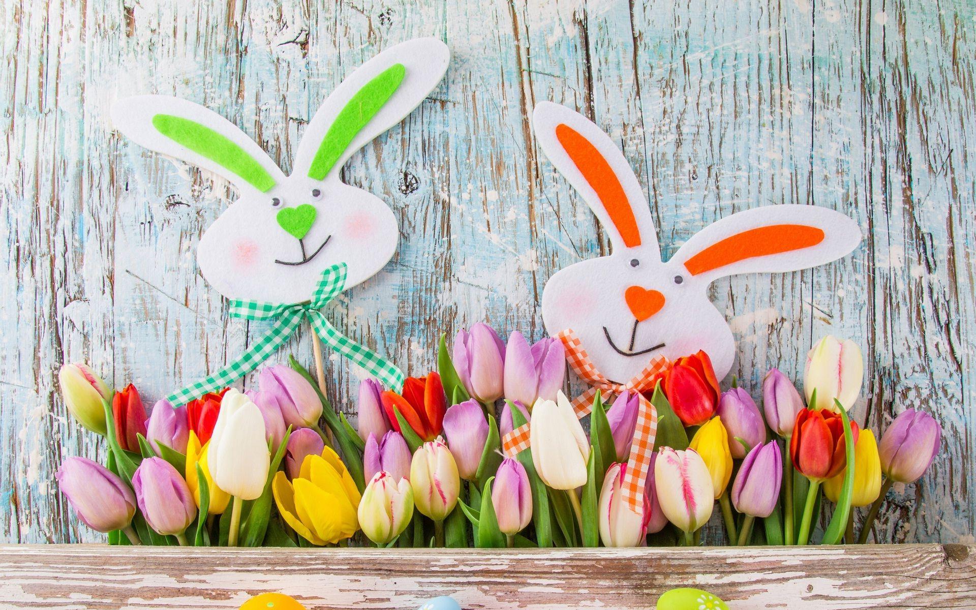 Flowers and happy teddy nice background wallpaper. HD Wallpaper Rocks