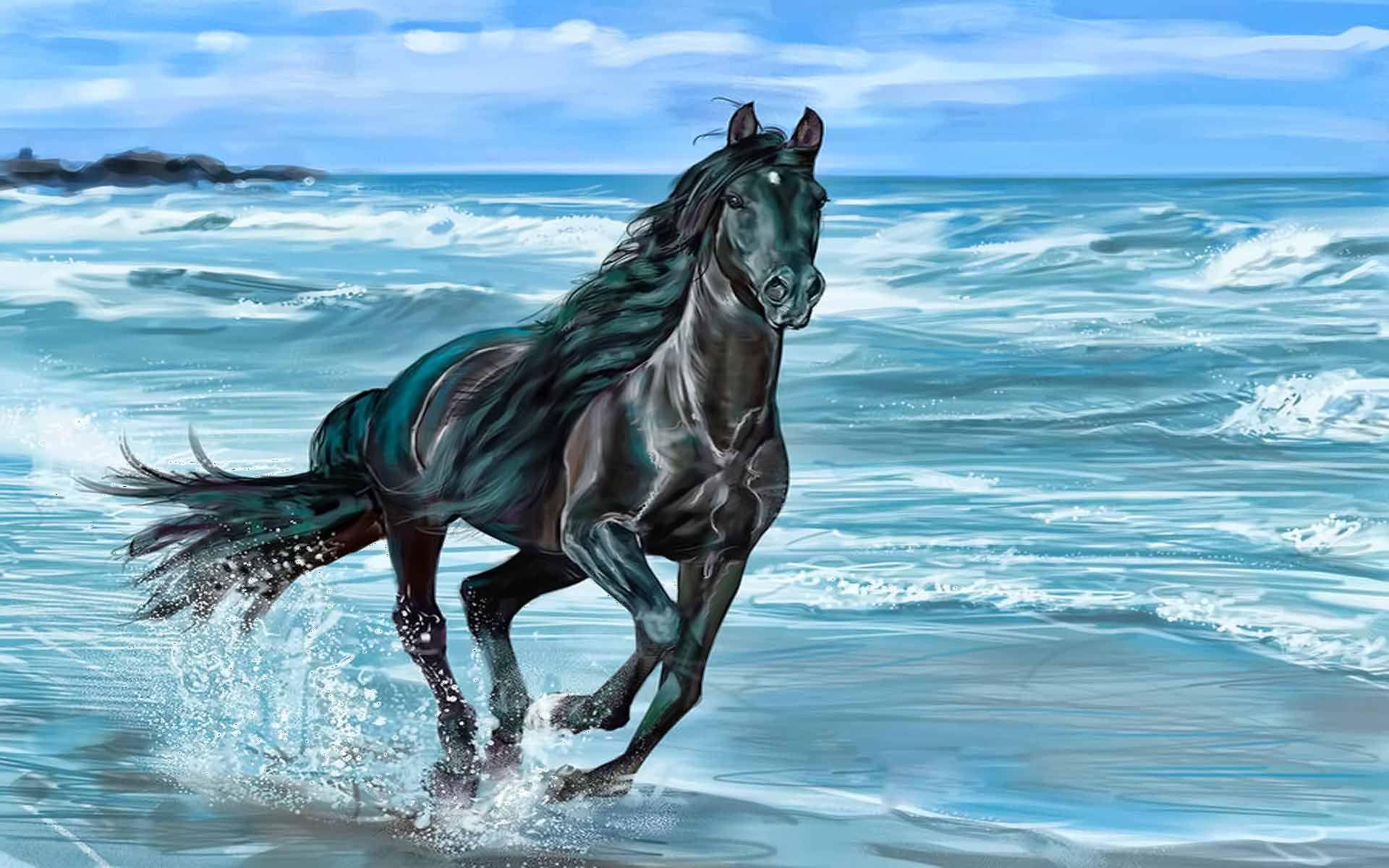 Horse Running On Beach wallpaper HD. COWGIRL in me