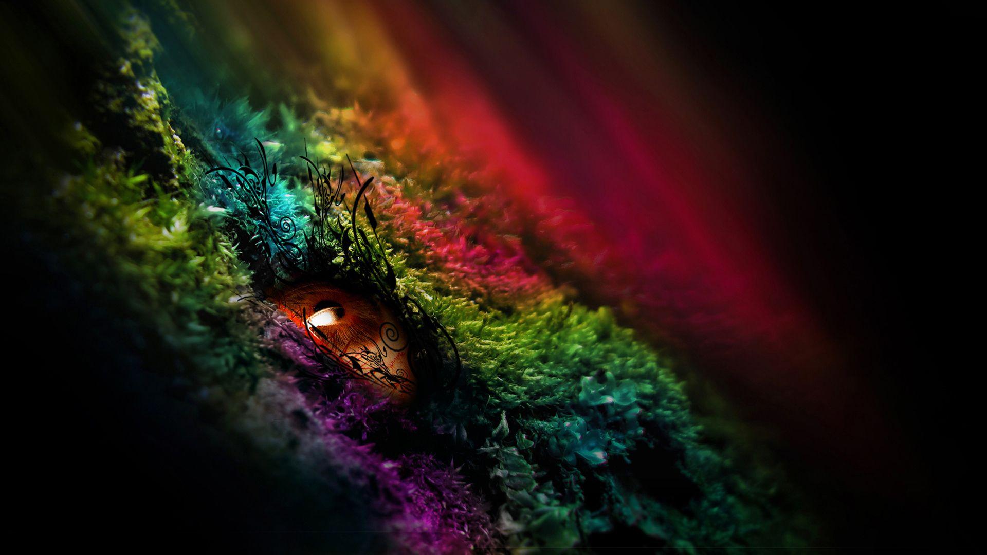 Download the Color Growth Eye Wallpaper, Color Growth Eye iPhone