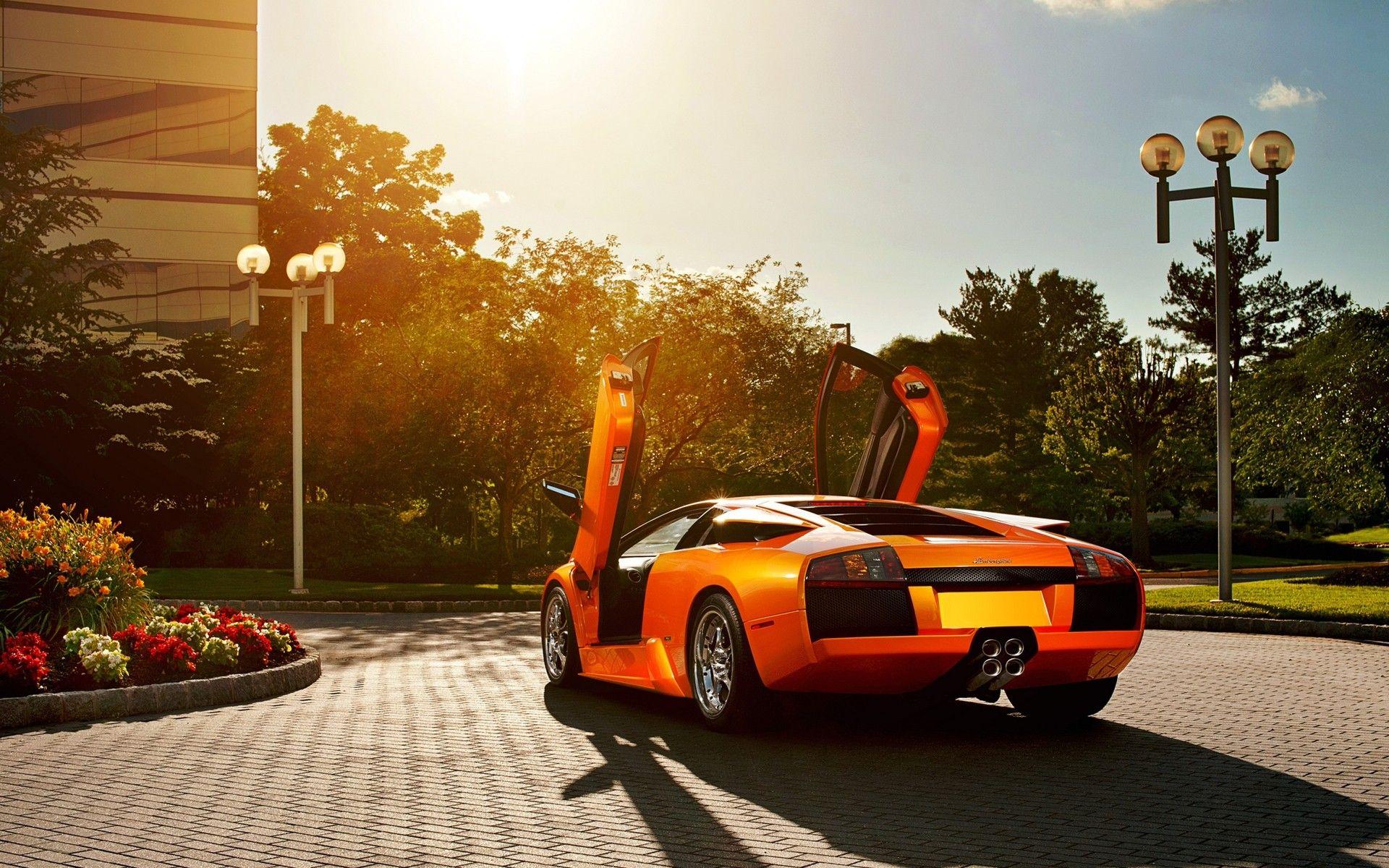 Cars Exotic Italian Lamborghini Murcielago LP640 Orange Sunlight