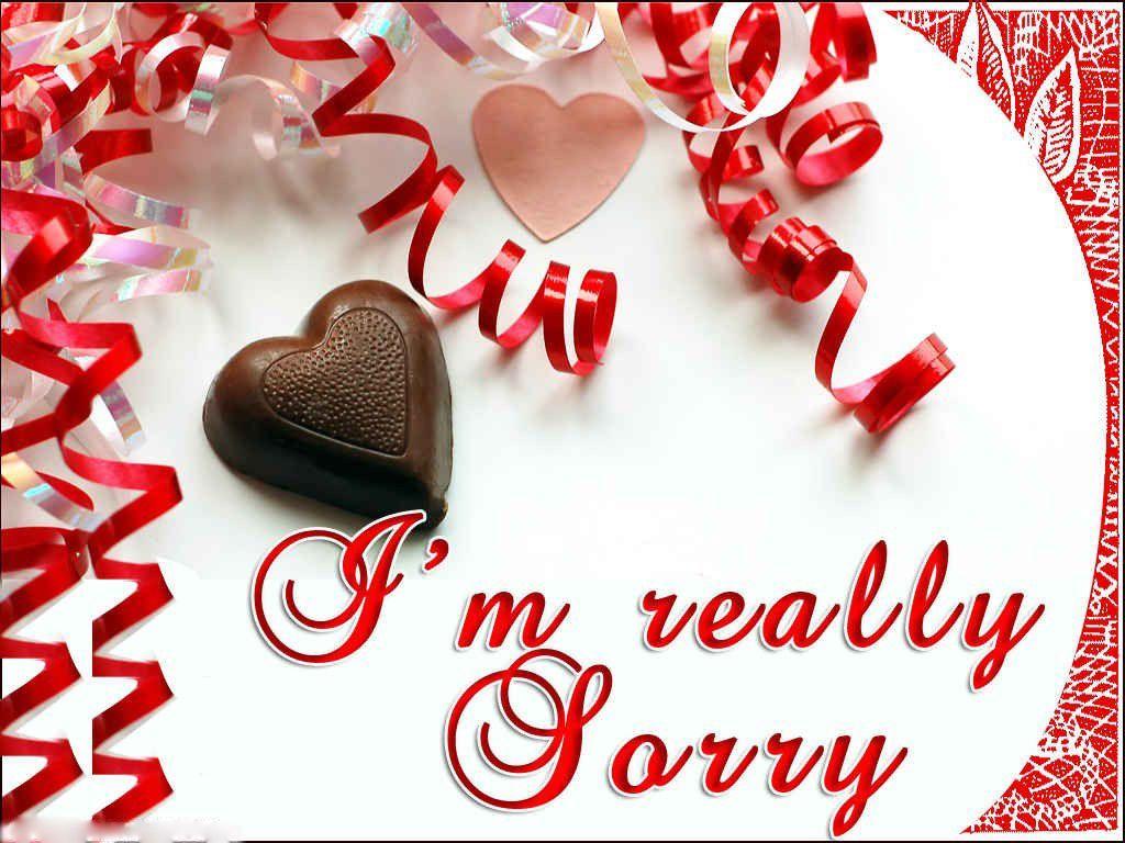 i am sorry wallpapers free
