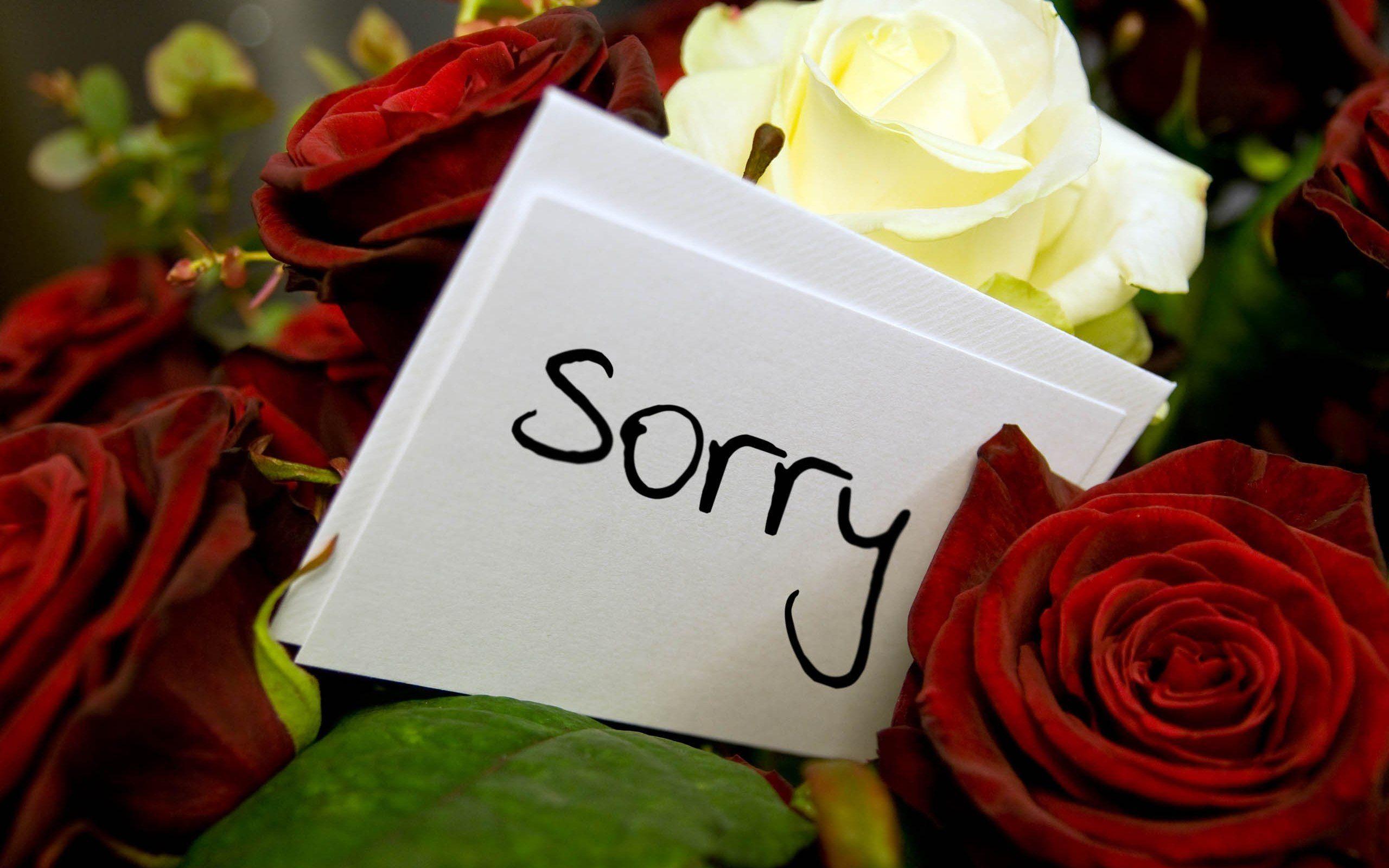 Cute Apology Messages to a Lover with Sorry Image