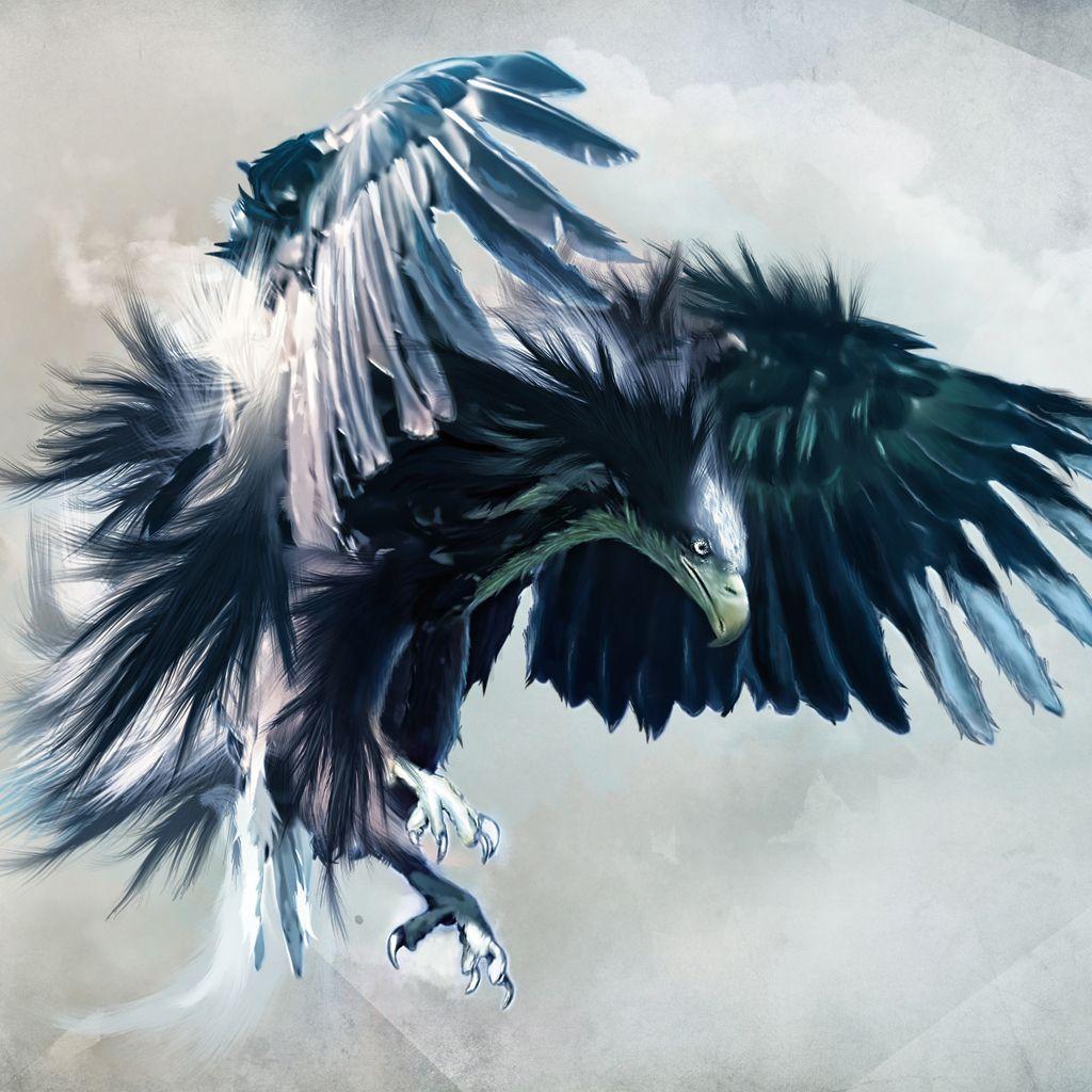 Eagle Hawk Wallpaper. Fun Animals Wiki, Videos, Picture, Stories