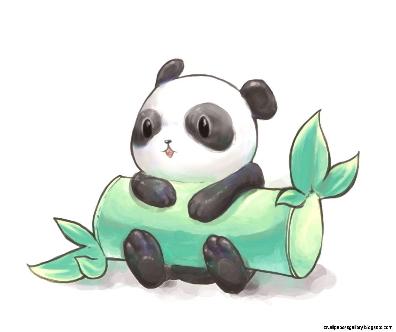 Cute Panda Drawing Wallpaper