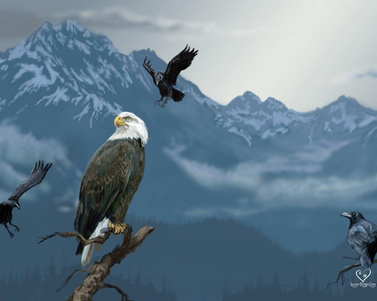 Amazing Background: Hawk Wallpaper, Amazing Hawk Image Collection