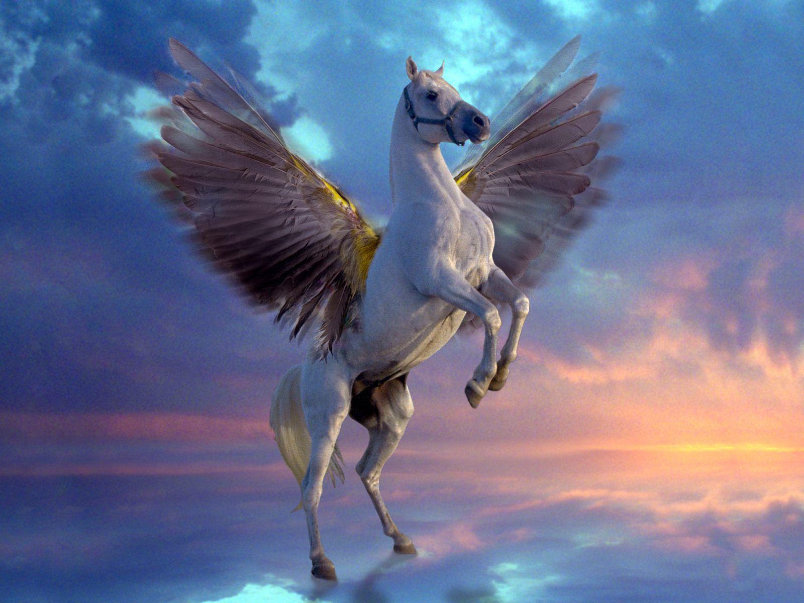 Pegasus HD Wallpaper