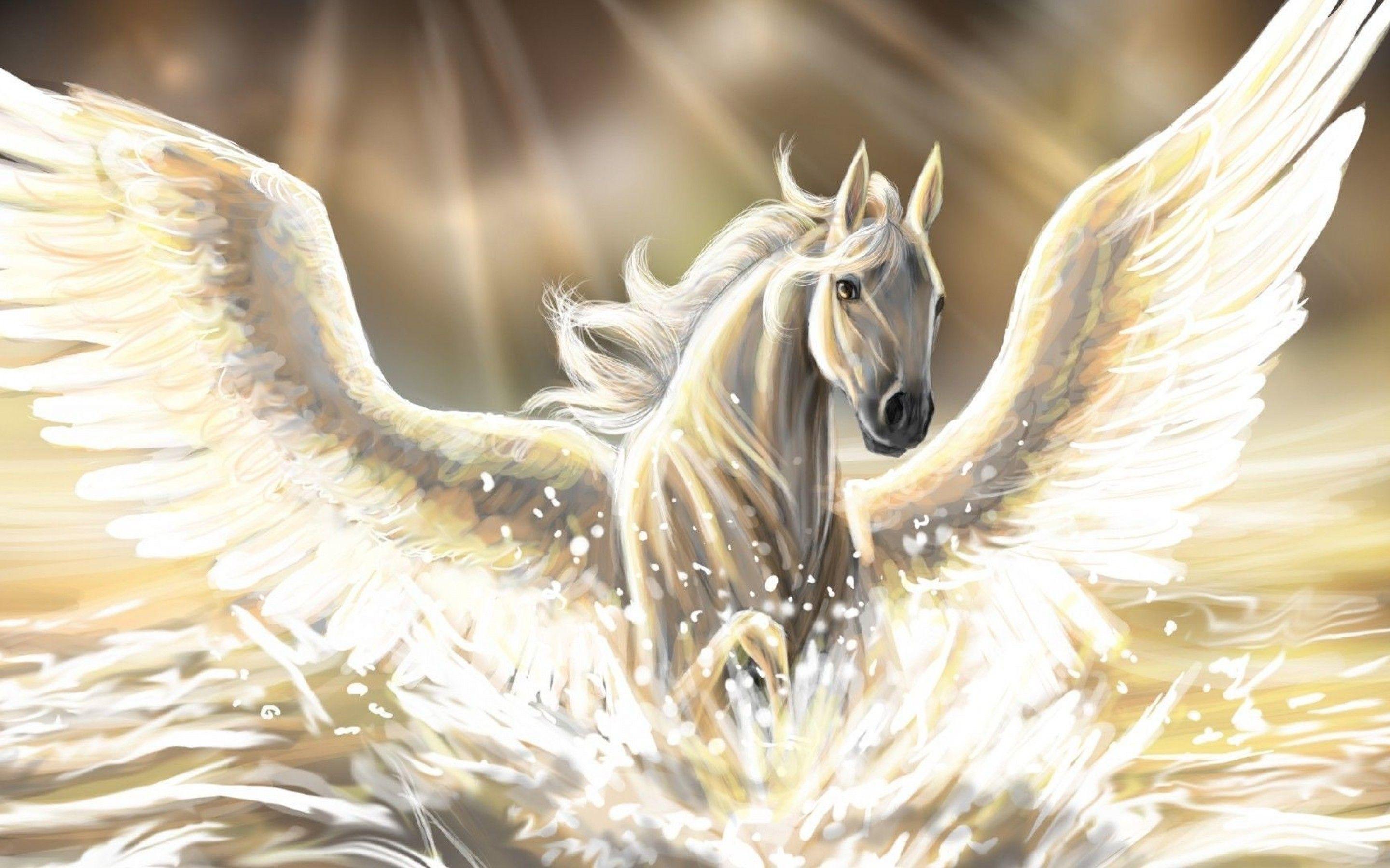 Pegasus wallpaperd and abstract