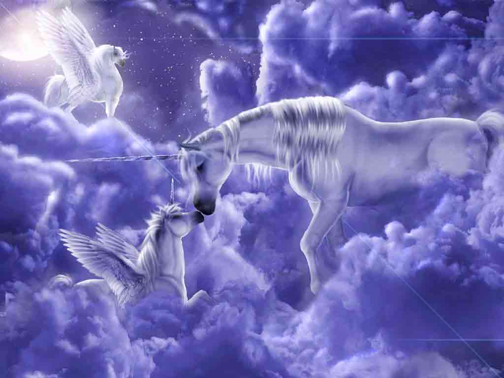 Practical Picture Of Unicorns And Pegasus Unicorn Vs Free Wallpaper