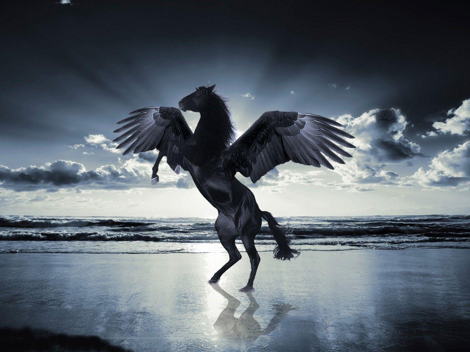 Huge Wallpaper Bundles: Buraq. Horse with Wings. Mythical