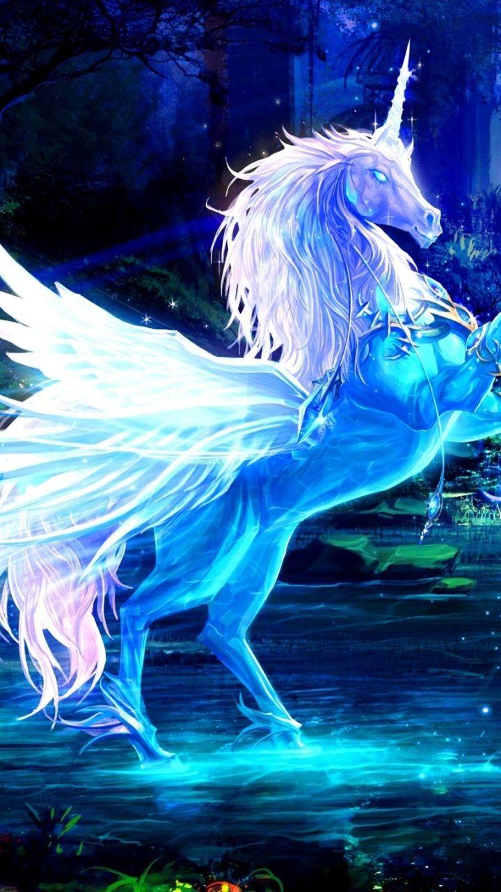 Fantasy Pegasus (720x1280) Wallpaper
