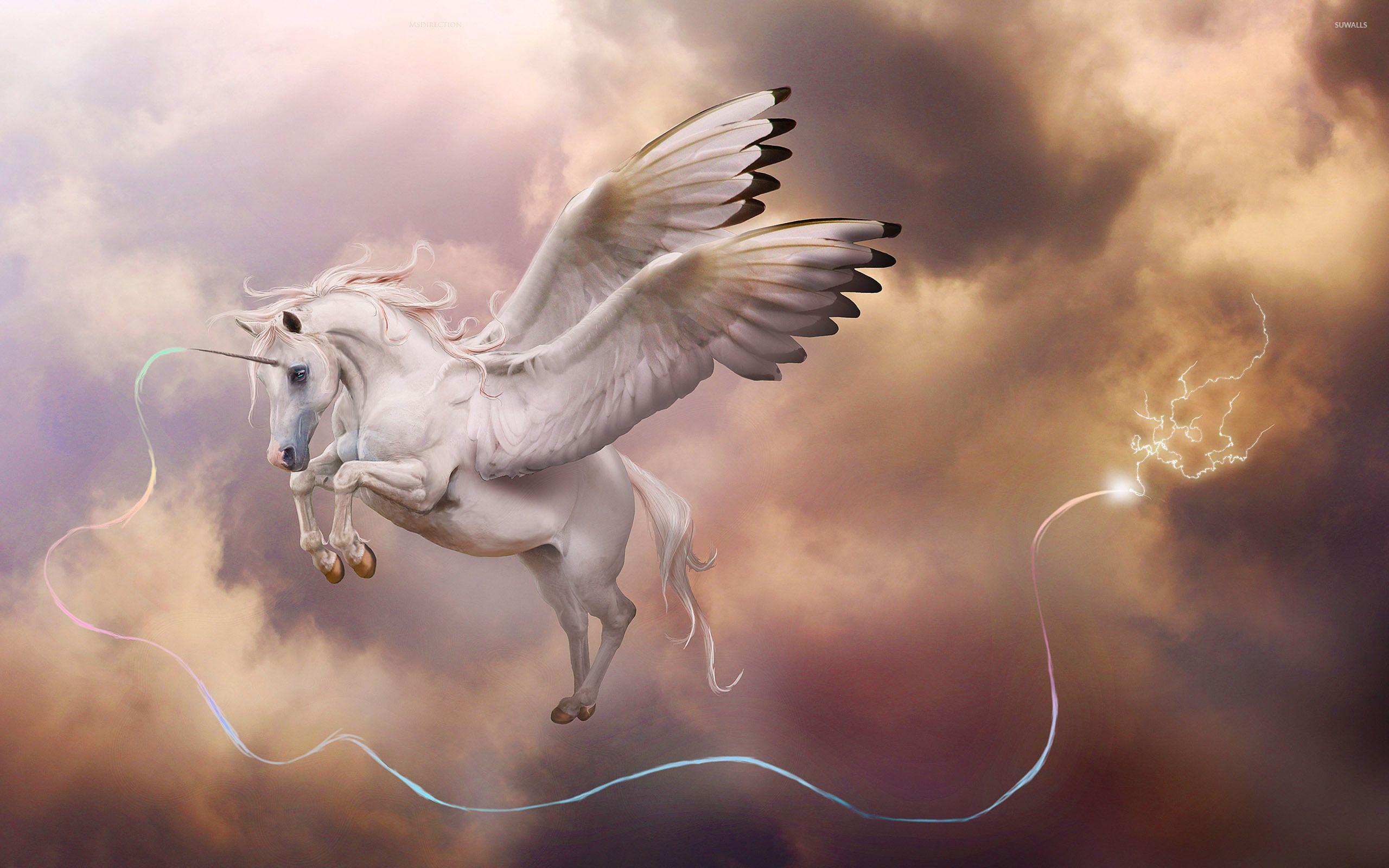 Pegasus unicorn wallpaper wallpaper