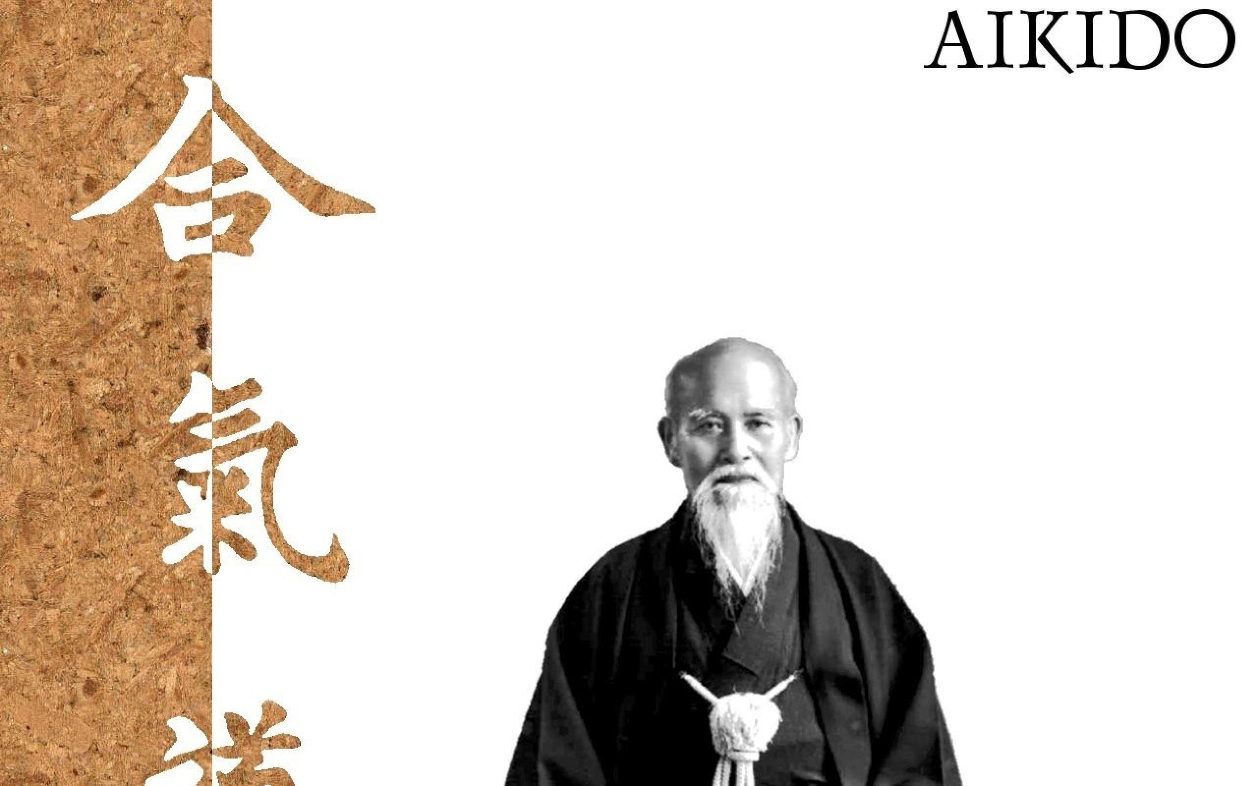 martial arts aikido 2560x1600 wallpaper. sharovarka