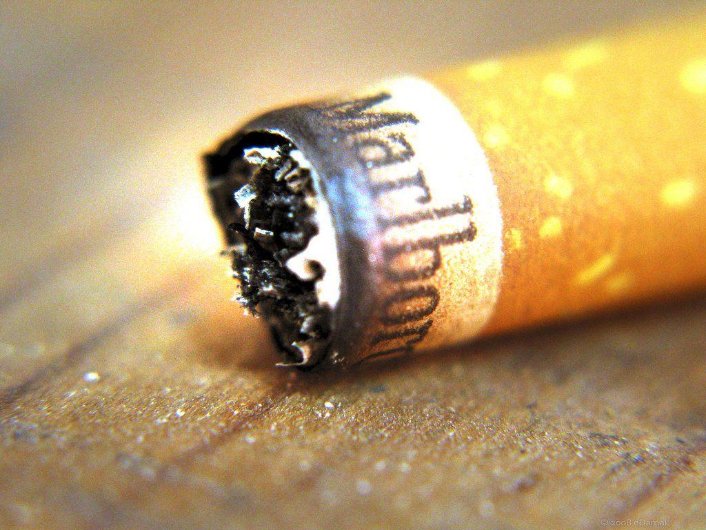 Marlboro -Burn Baby Burn 2