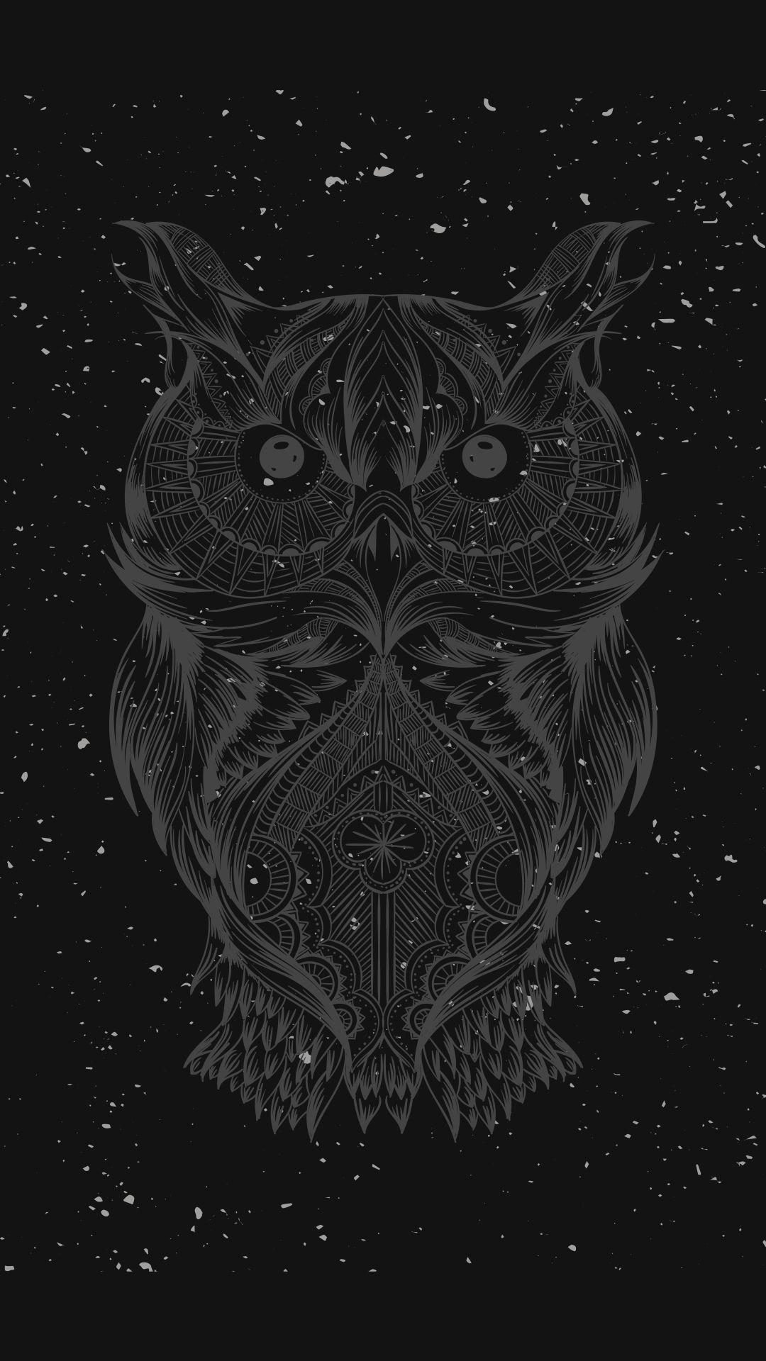 owl black bird Wallpaper HD Vector 4K Wallpapers Images and Background   Wallpapers Den
