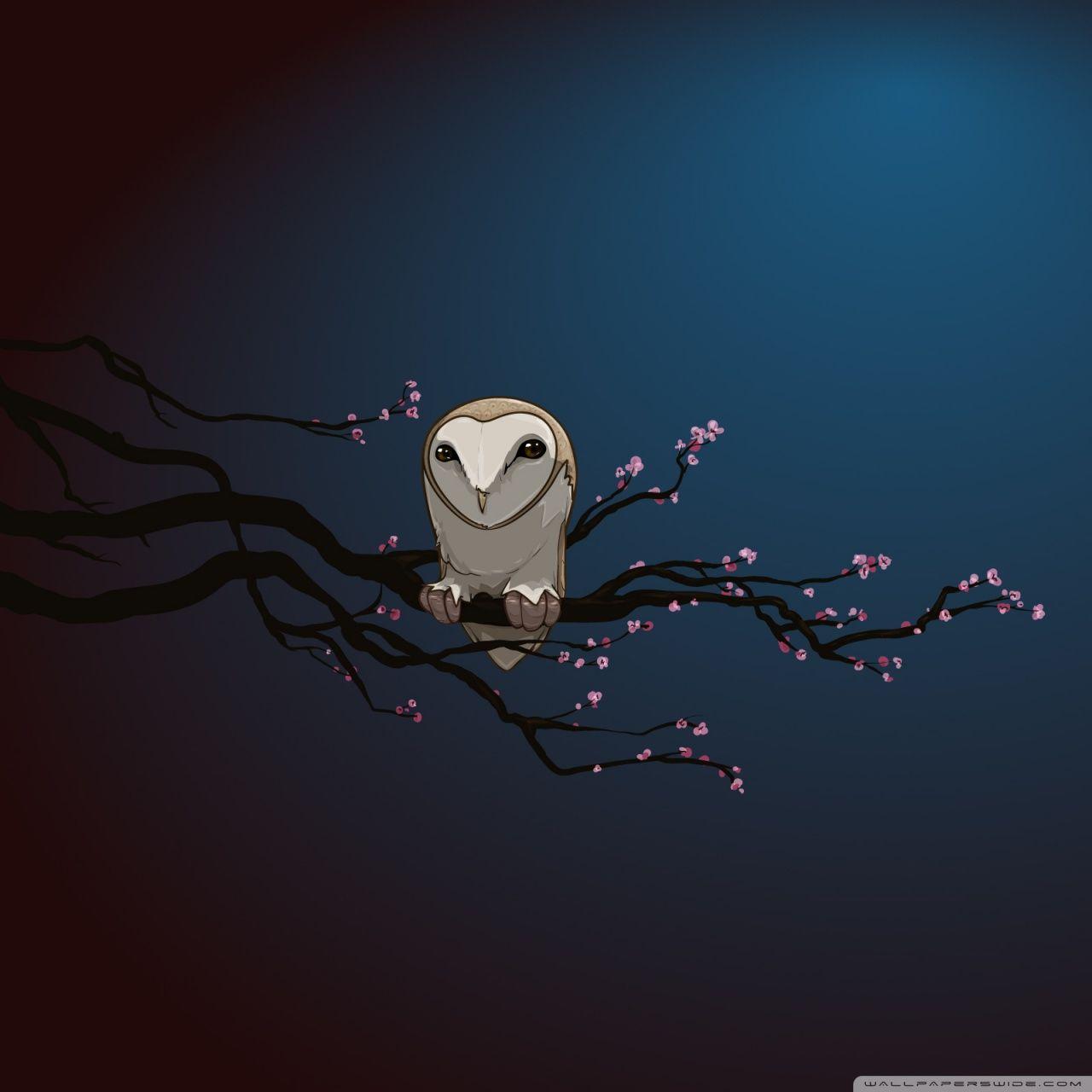 Masked Owl Vector Art ❤ 4K HD Desktop Wallpaper for 4K Ultra HD TV