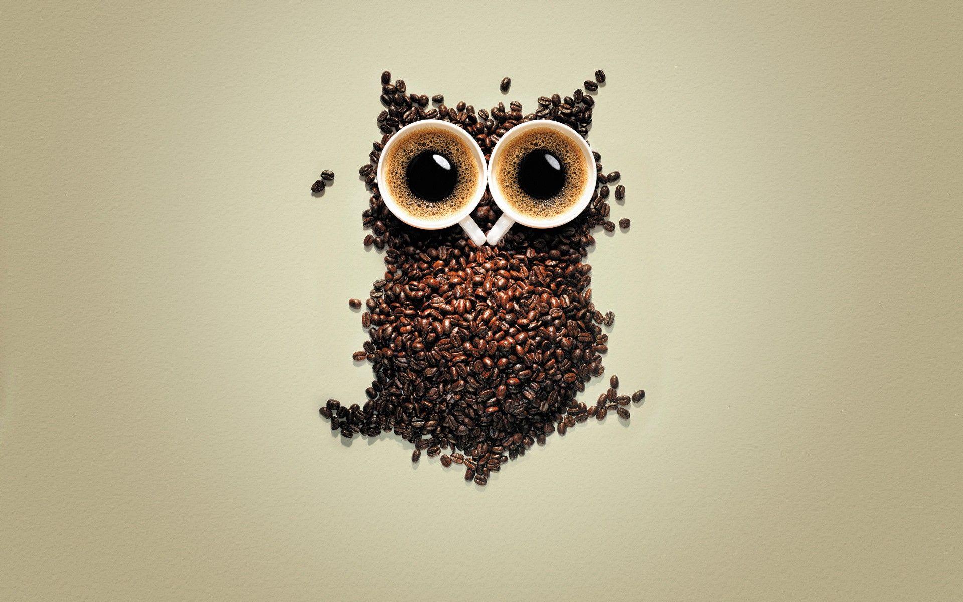 Download the Coffee Owl Wallpaper, Coffee Owl iPhone Wallpaper