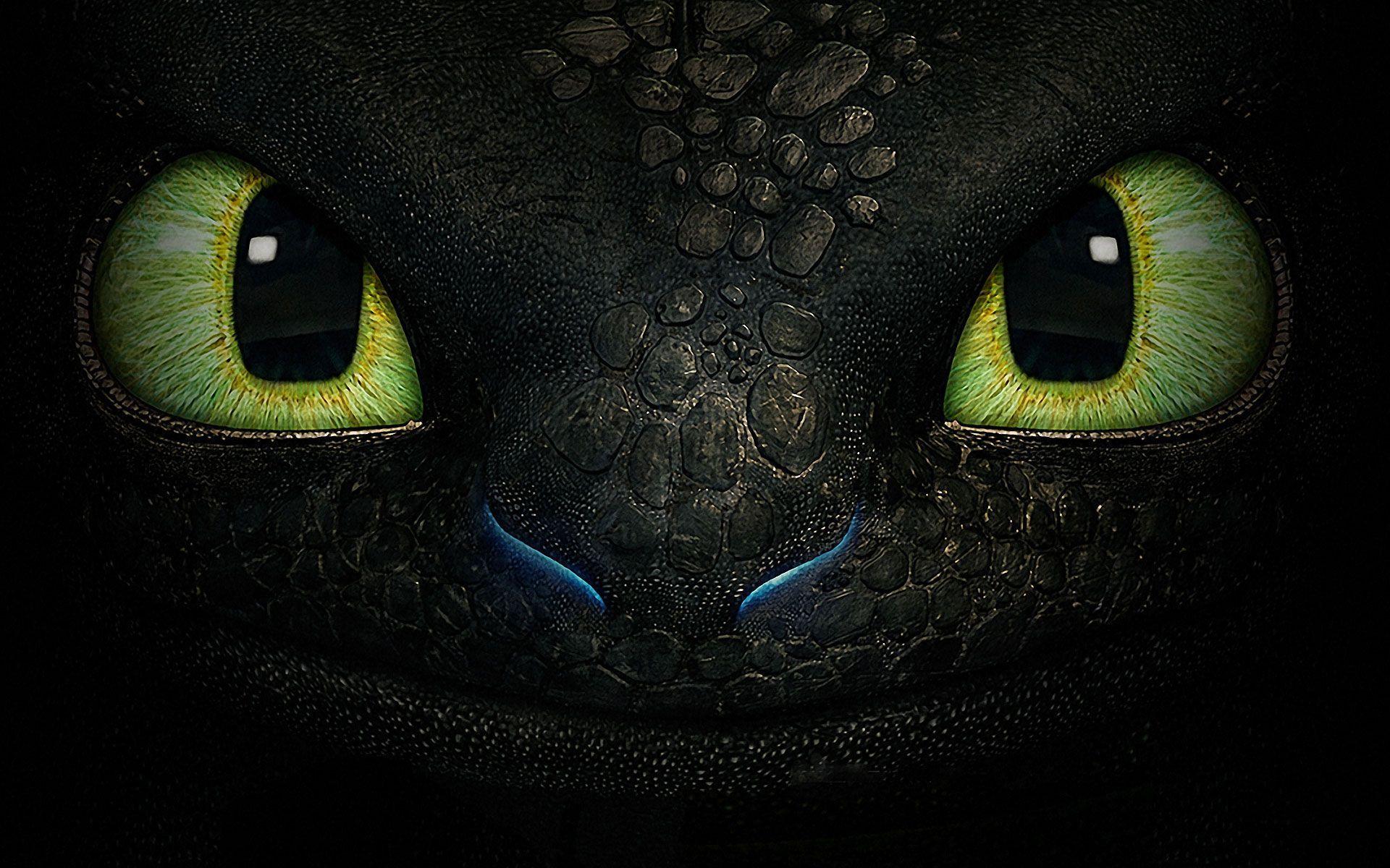 Toothless Wallpaper Group (77)