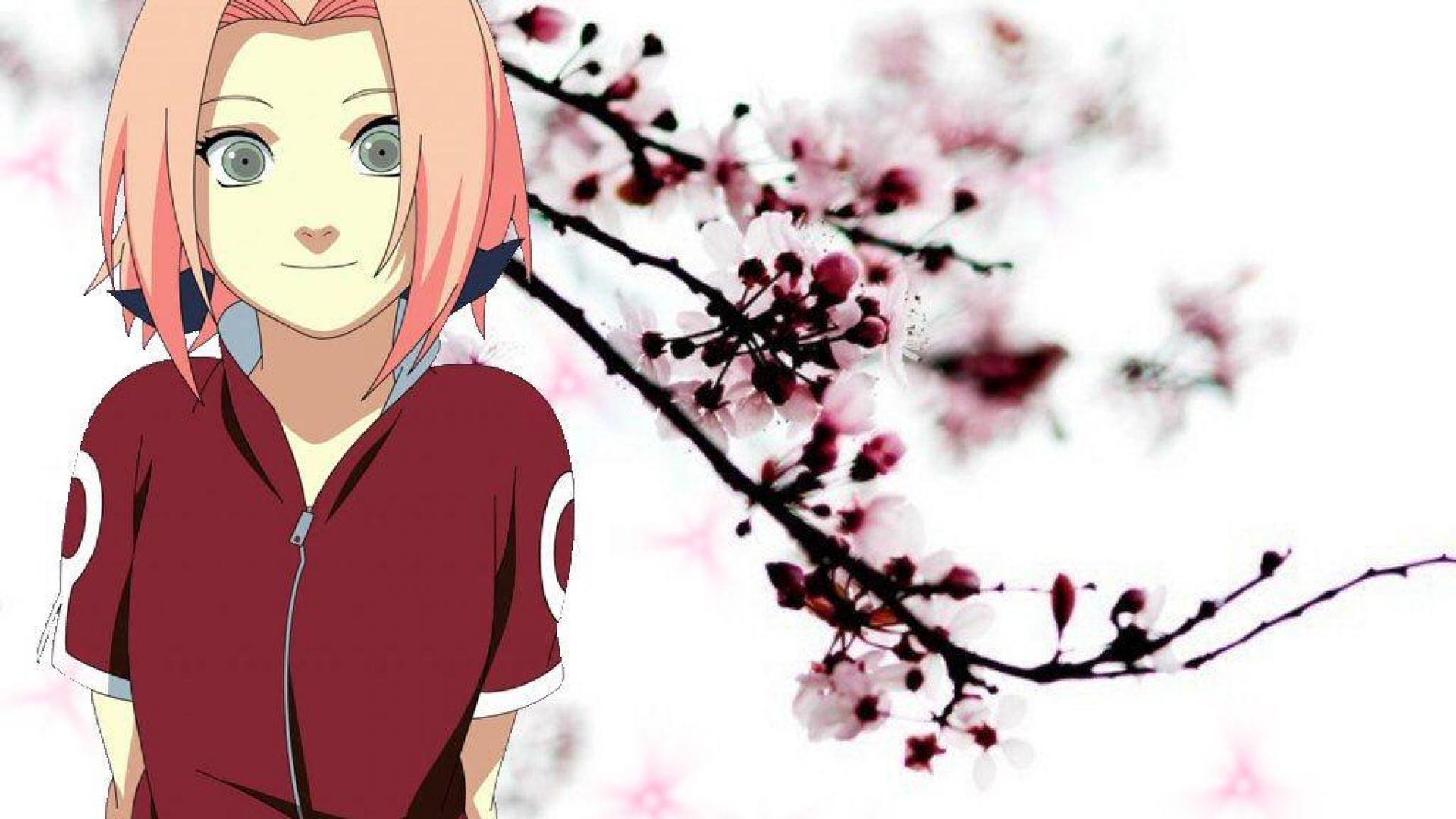 Sakura Haruno HD Wallpaper