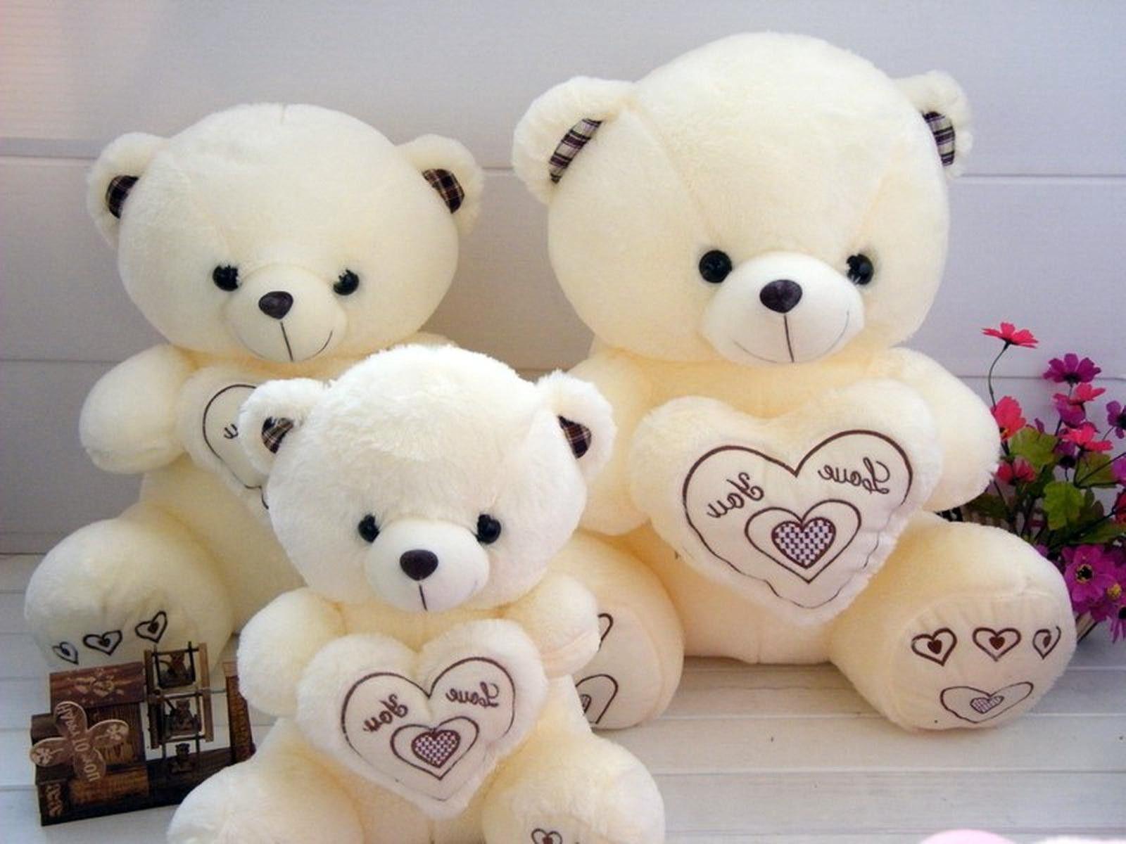 white love teddy bear