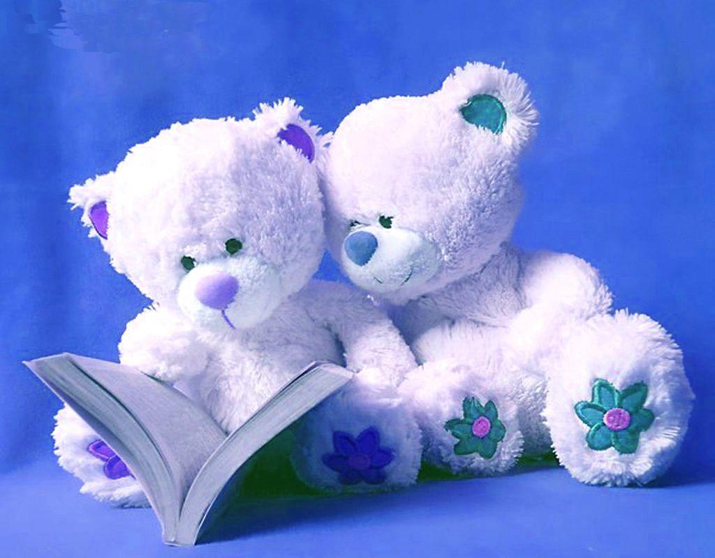 Cute Friendship Blue Teddy Bears Cute Love Teddy Bear Free Download