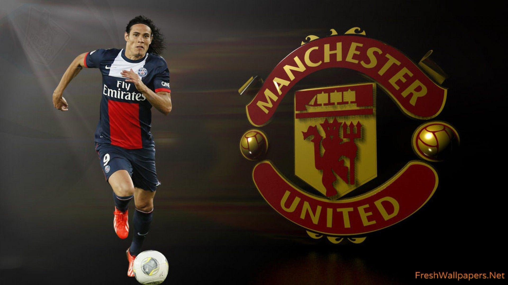 Manchester United 2015 Logo wallpaper